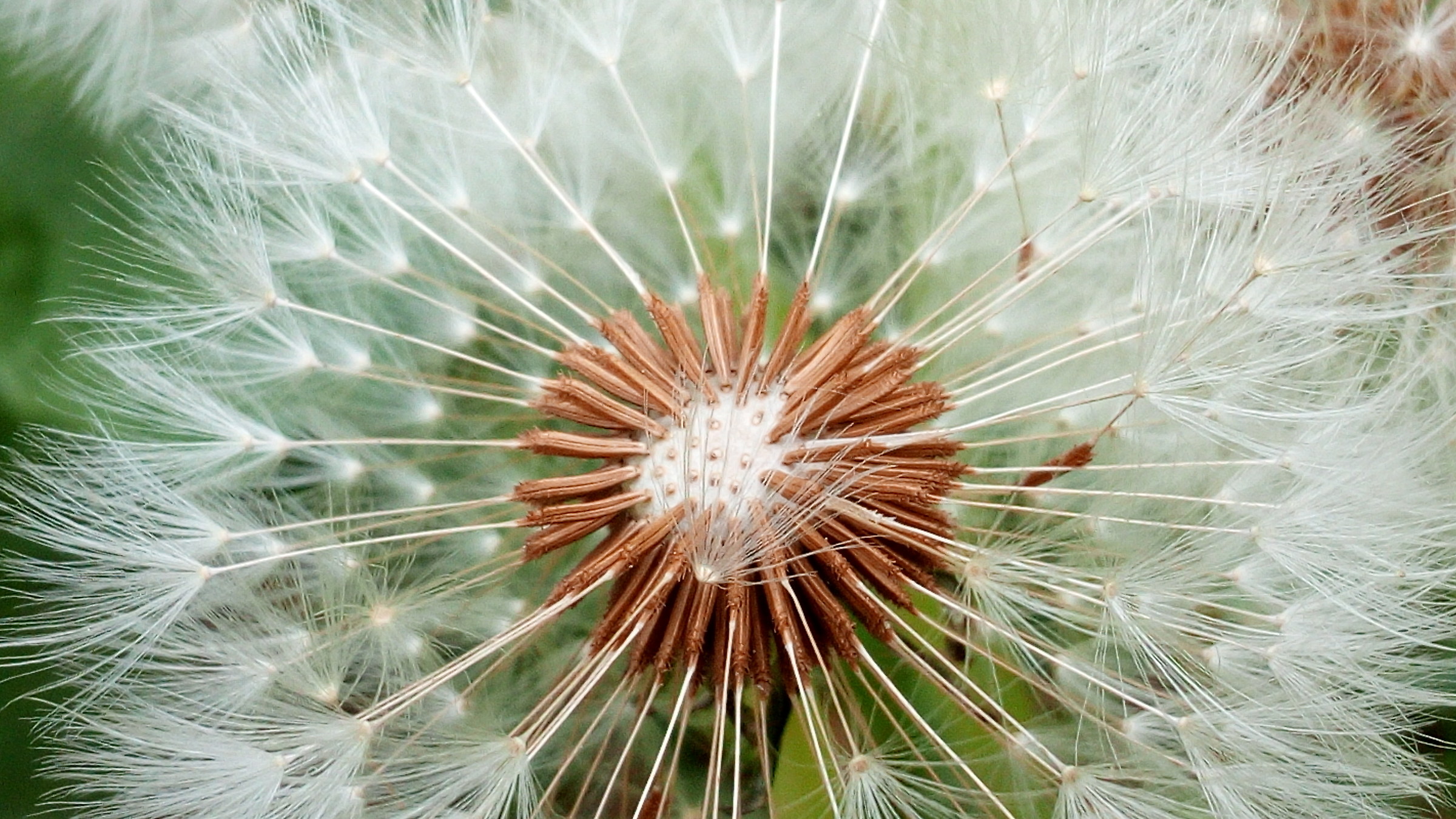 Second photo with mobile phone