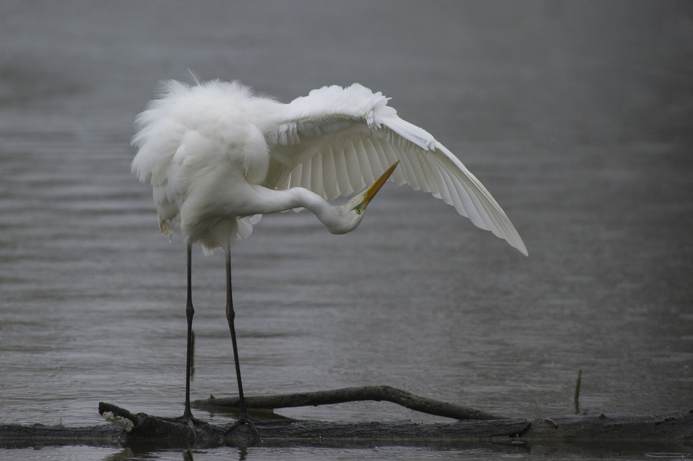 Let's take a look ...