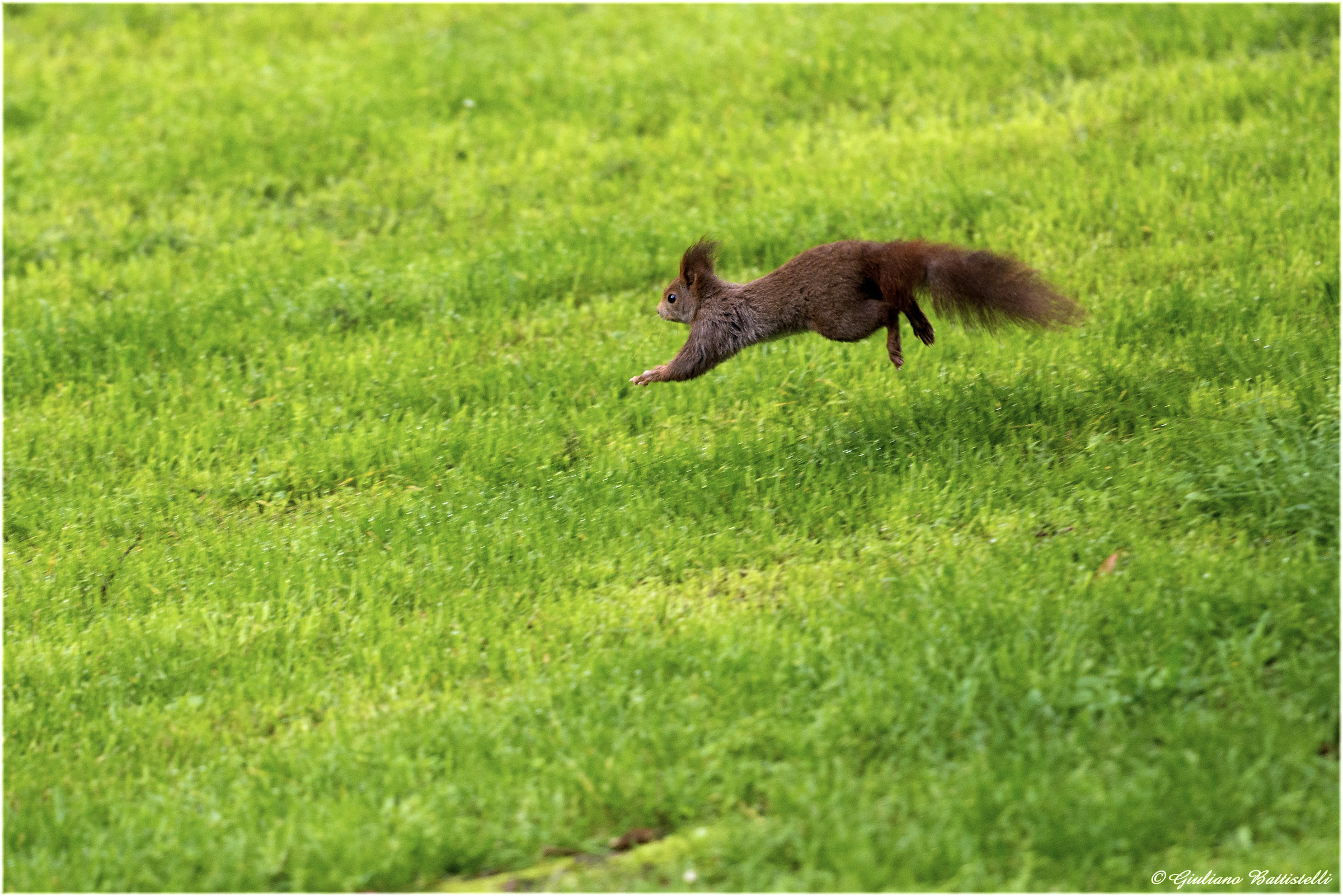 Catch me if you can!