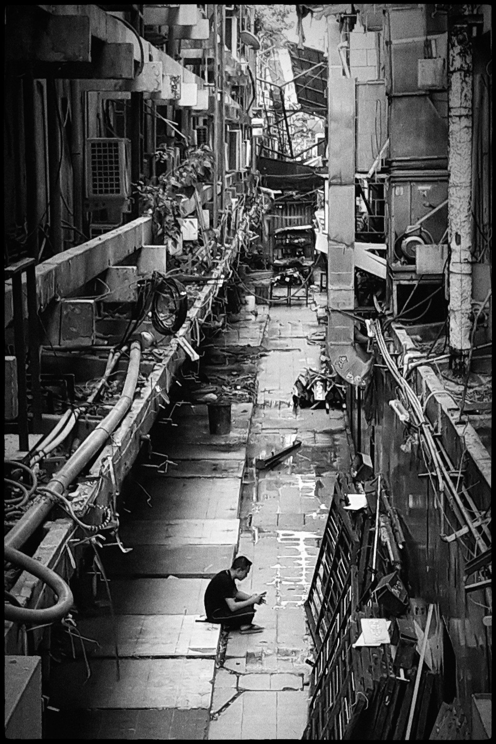 I'm in a jungle baby