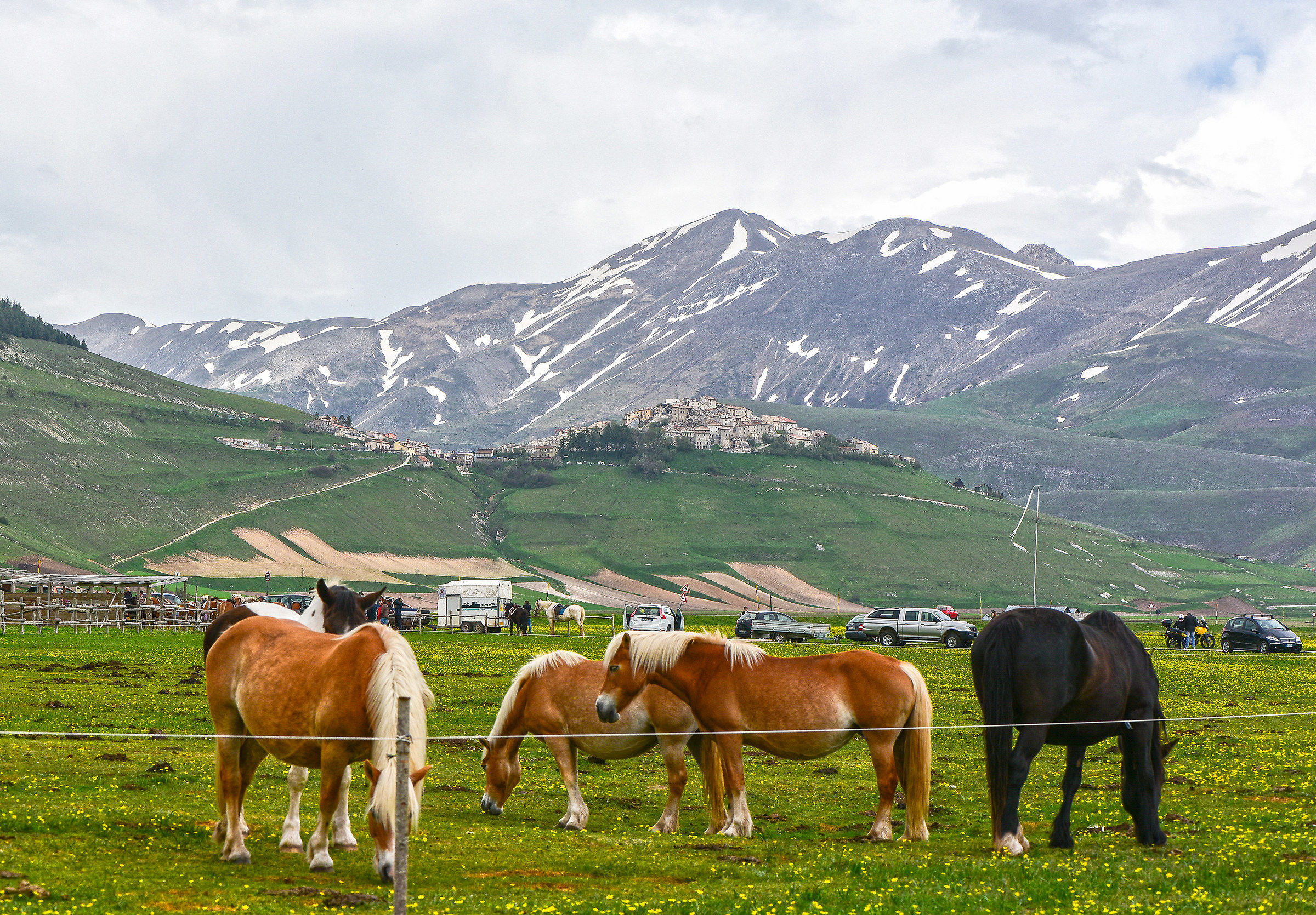 rivediamo Castelluccio.... (29-04-2018)