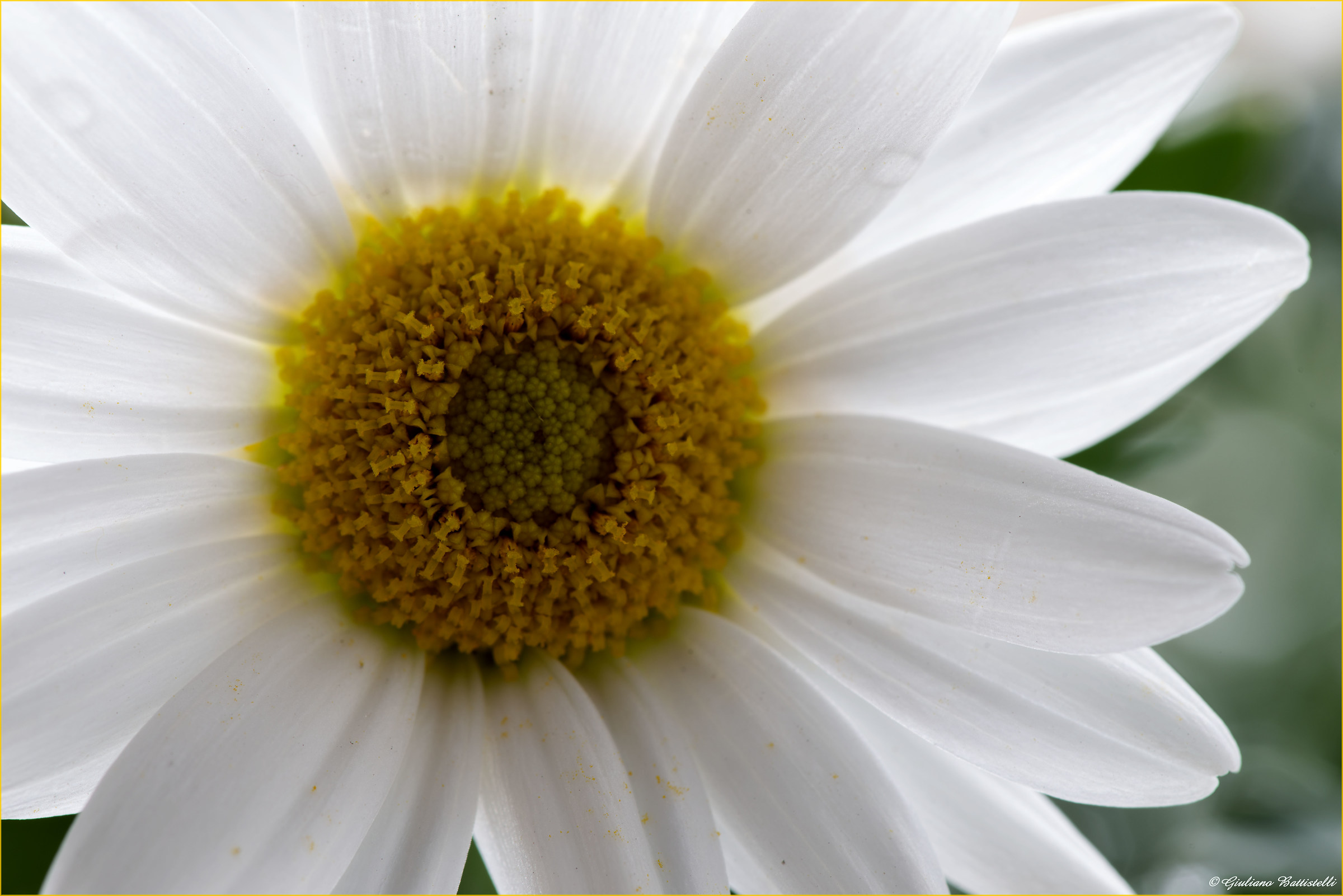 He lives with their own light.