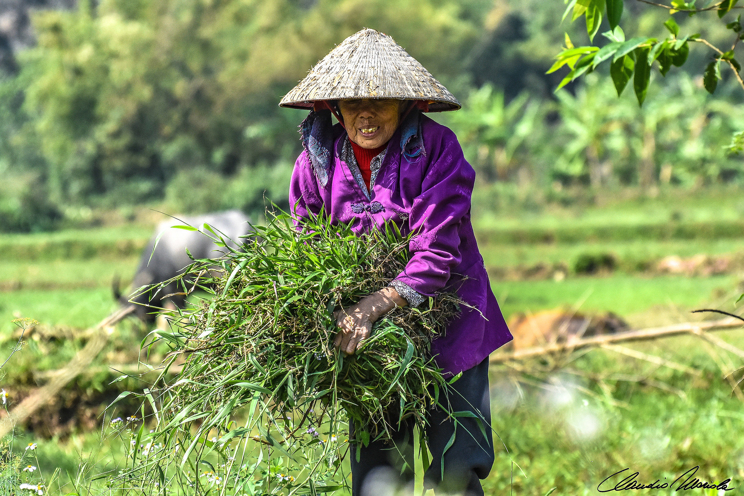 La contadina vietnamita