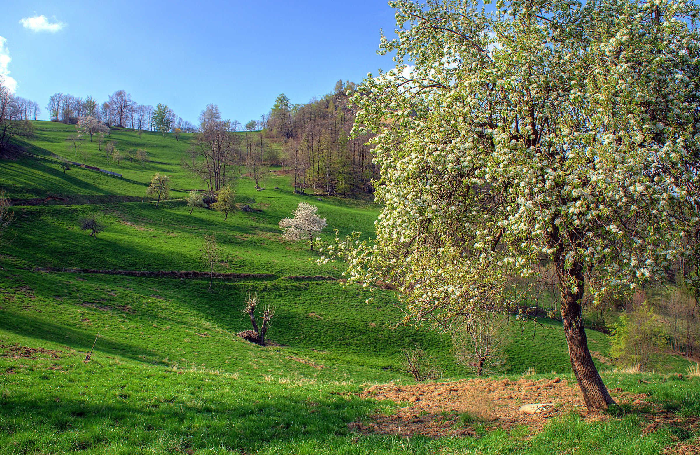 sfumature di primavera