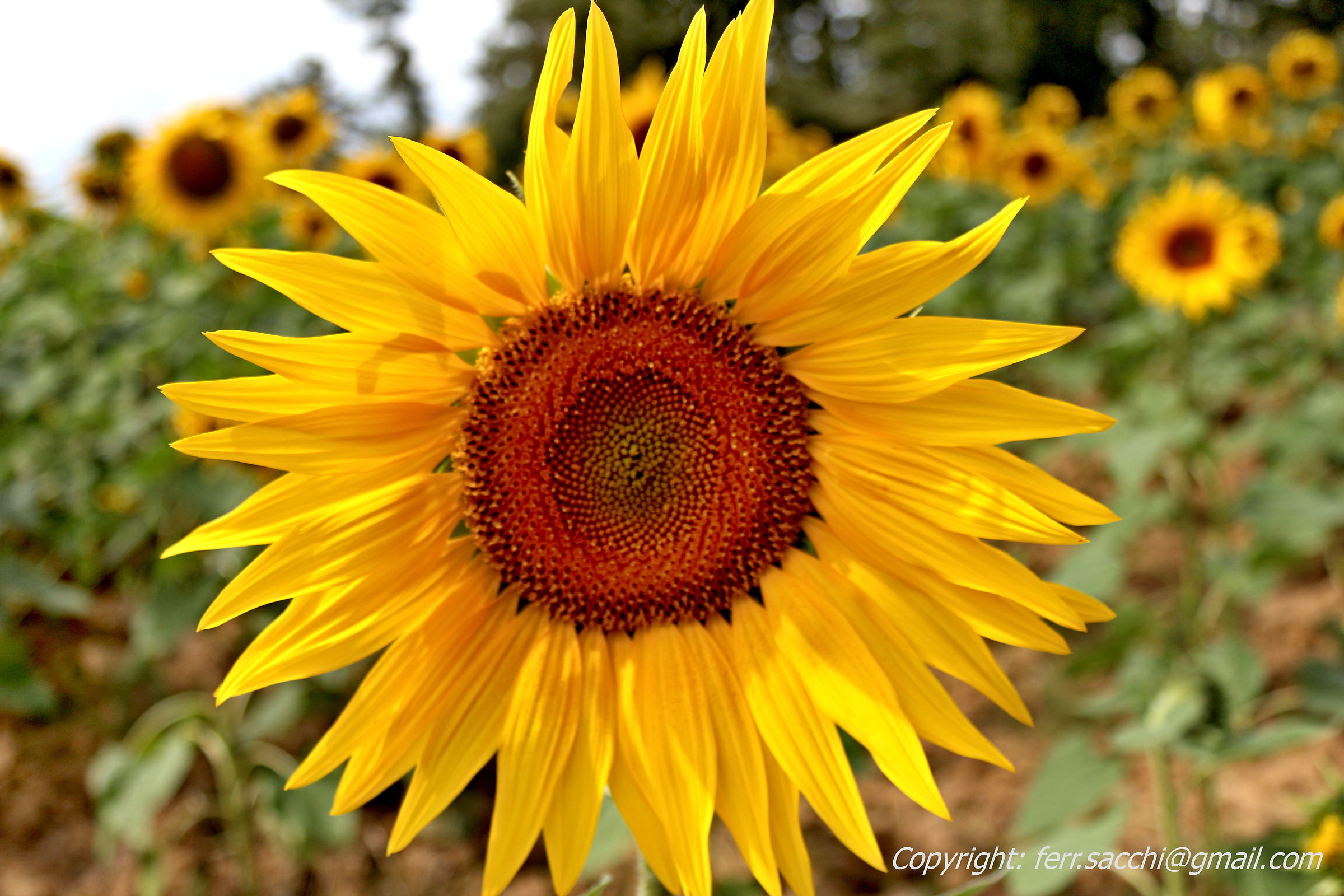 ....Look at me !!!....