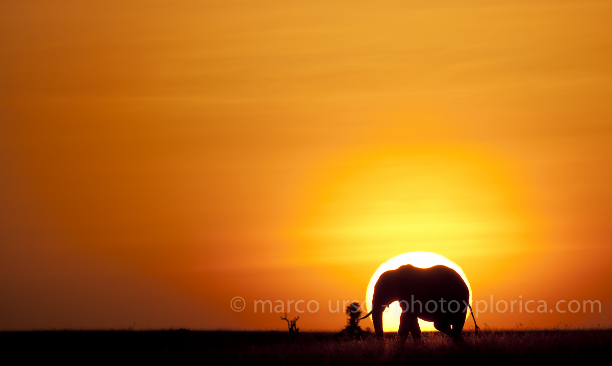 Tramonto Africano