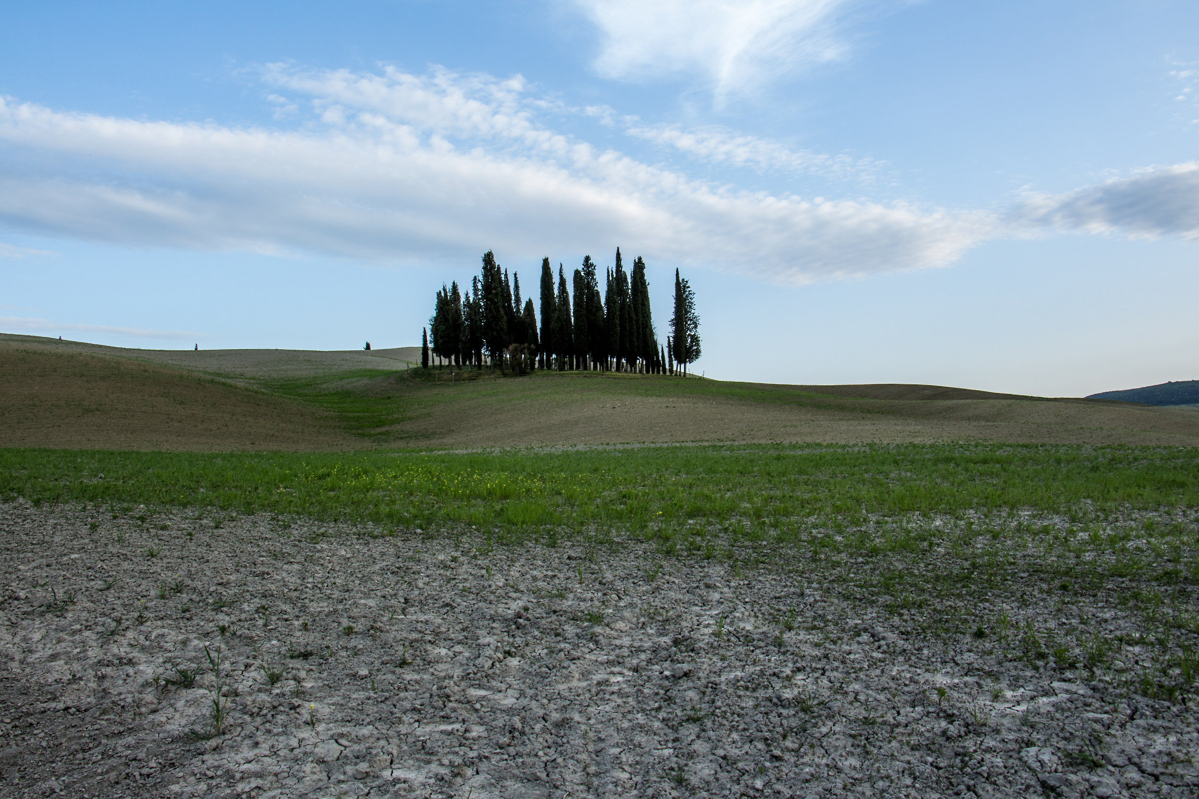 I Cipressi San Quirino d'Orcia