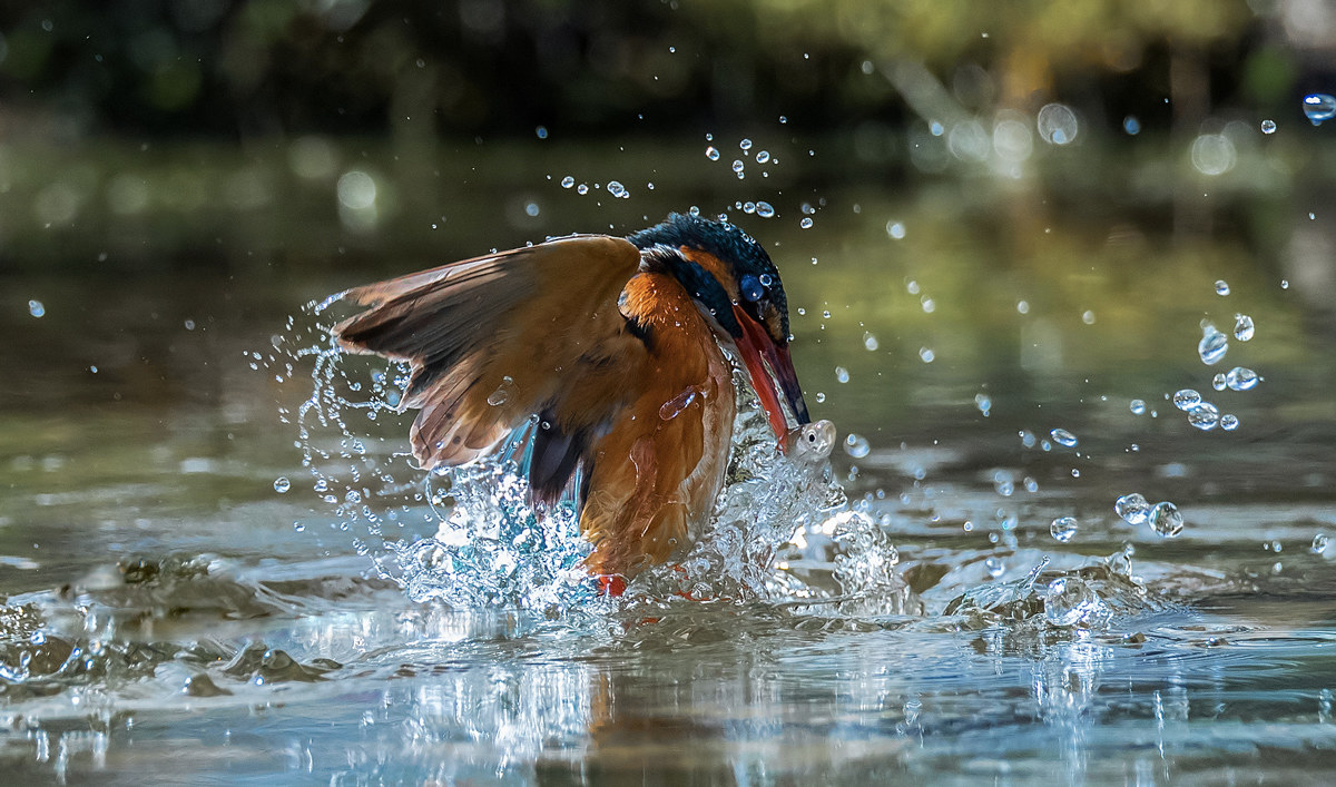 Splaaaaaassshhhhhhh3!!!