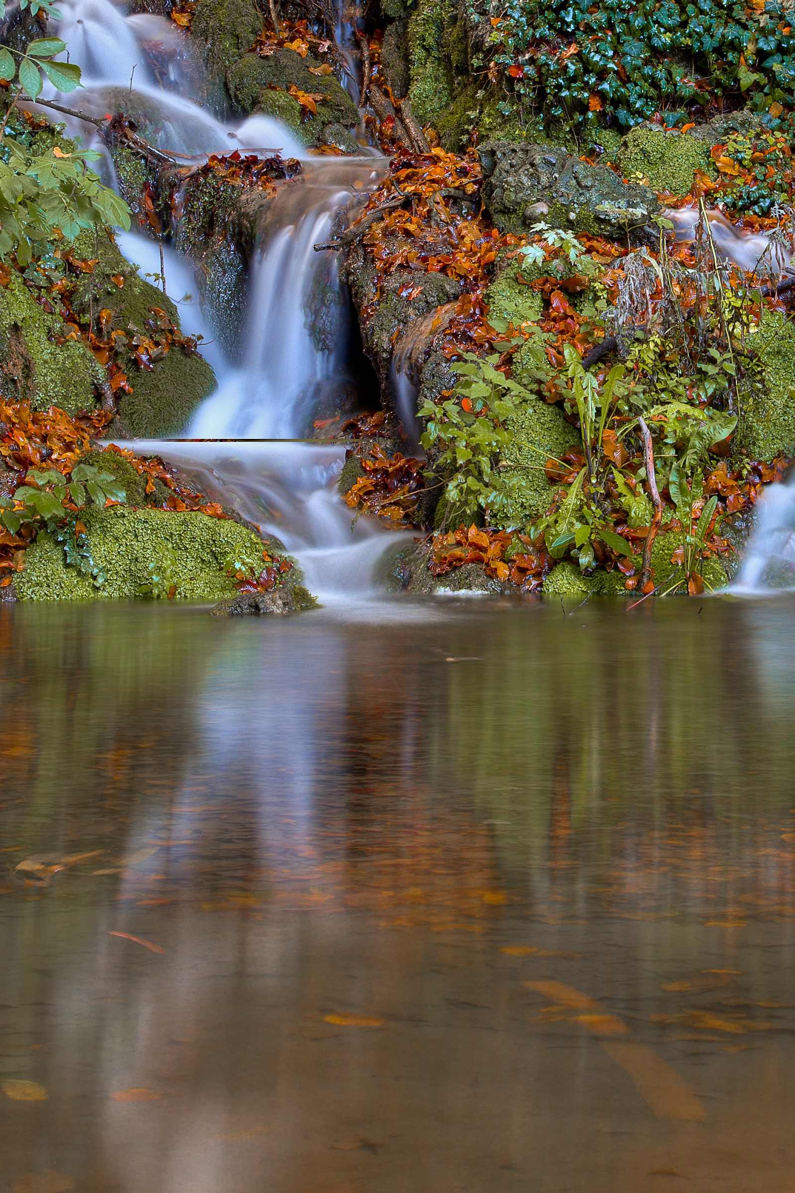 Brook villa gardens real estate - park monza