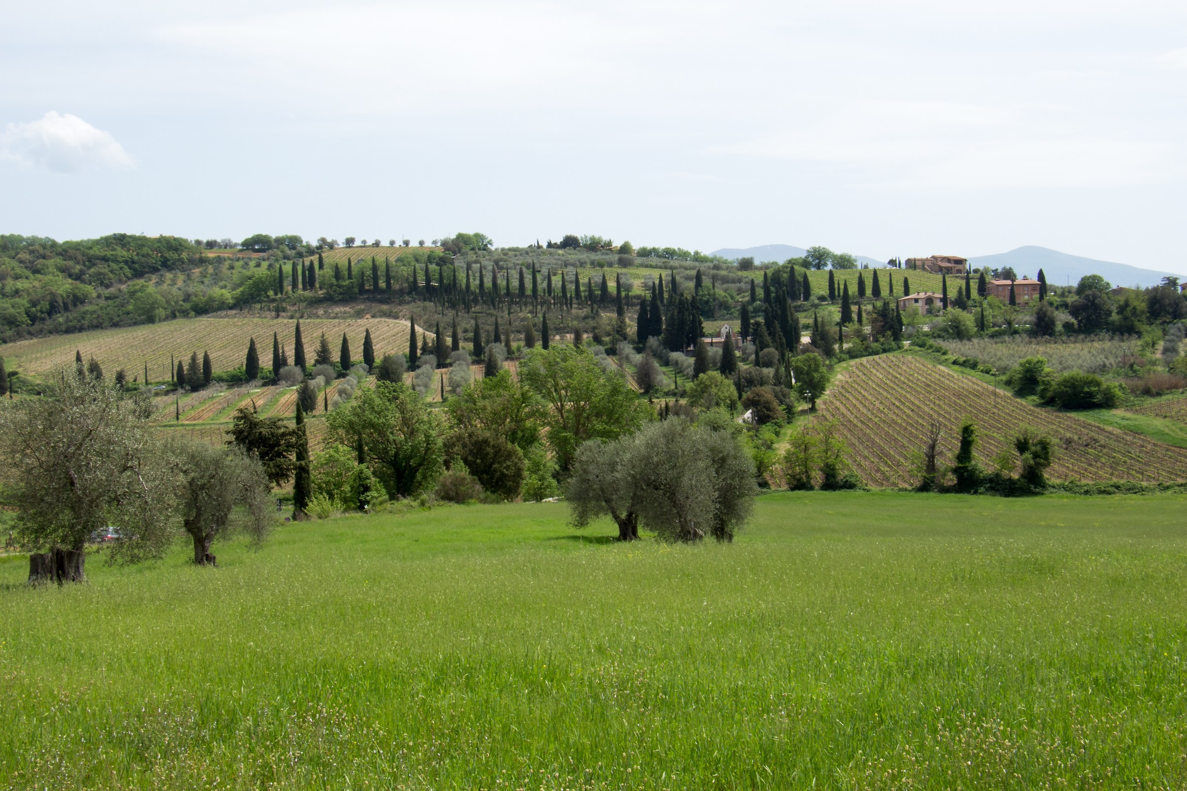 Val d'Orcia