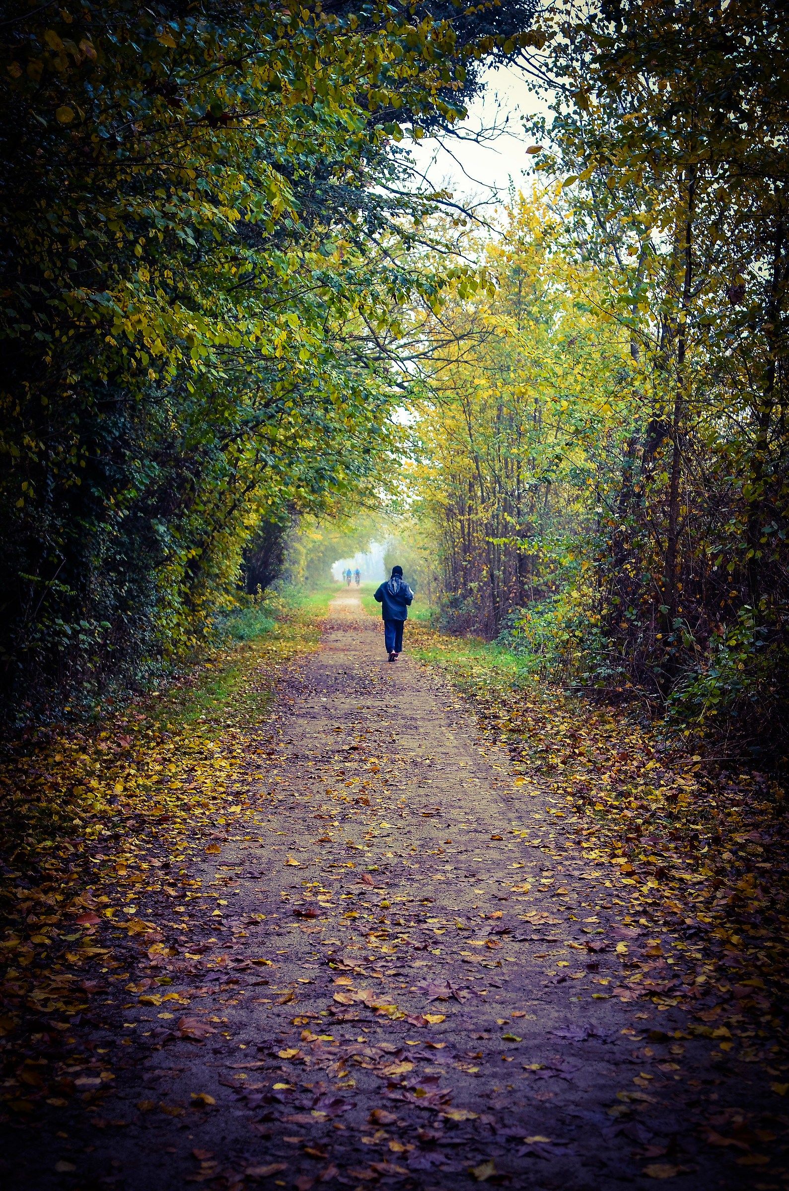 continuing through the autumn