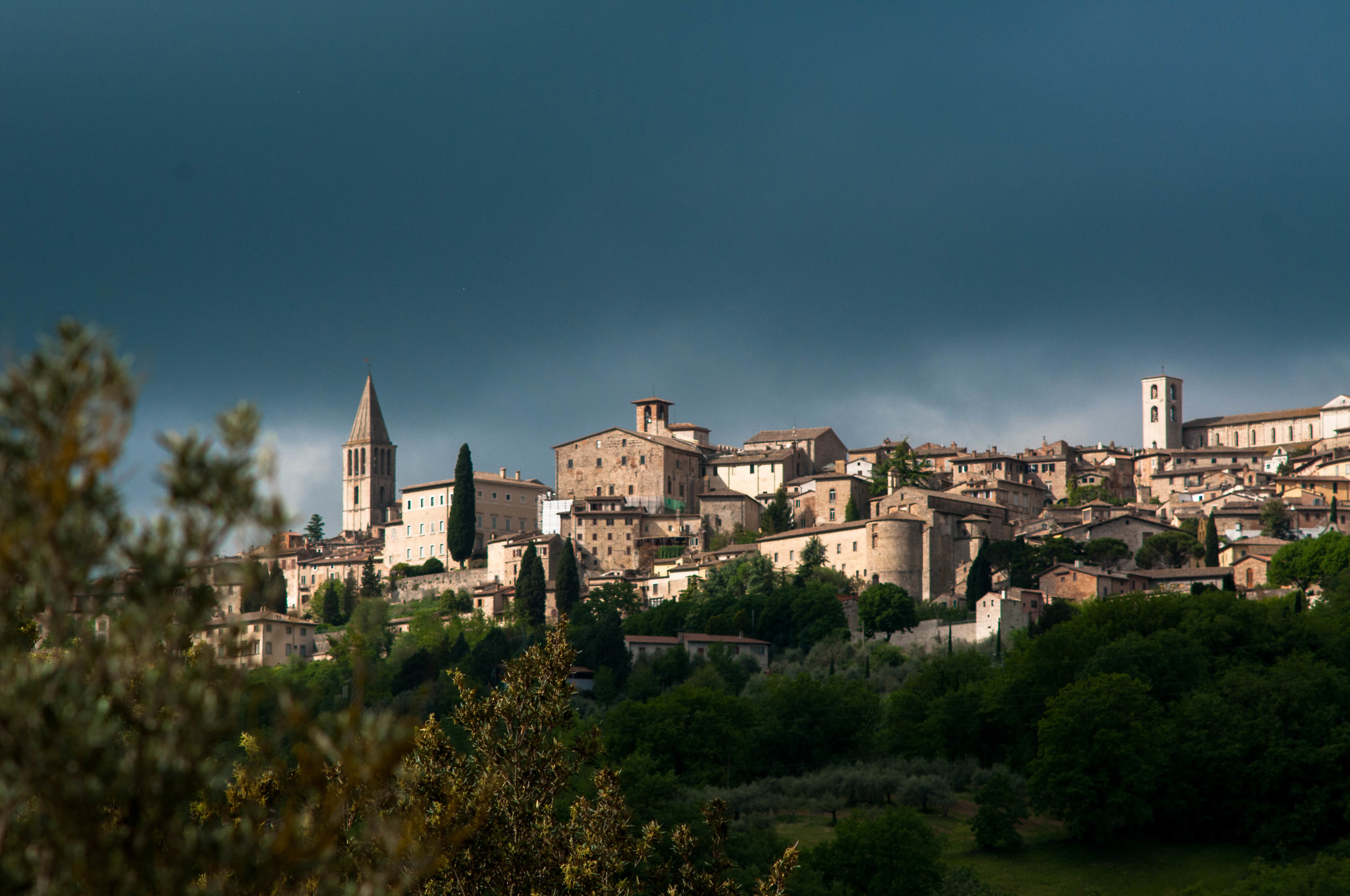 Todi