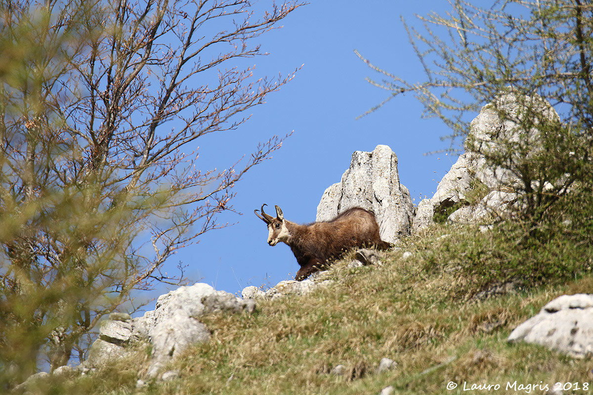 Among the rocky peaks