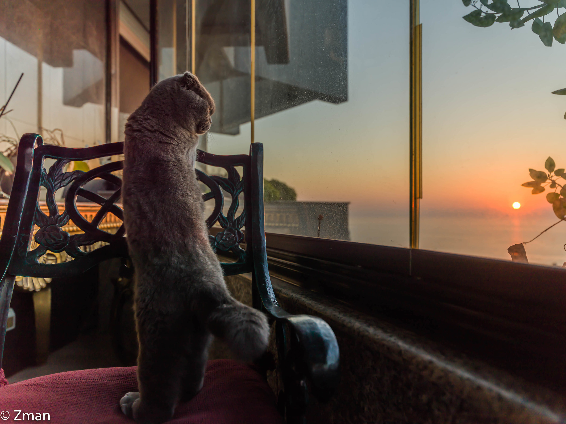 Fumoso guardando tramonto