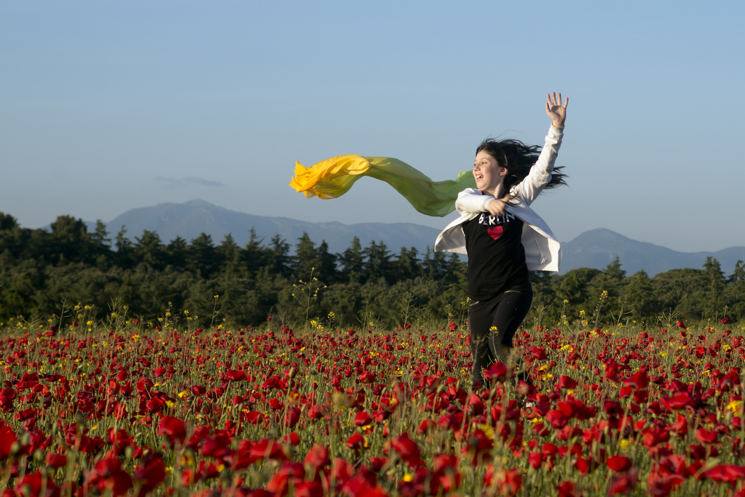 papaveri e...paperotta 2