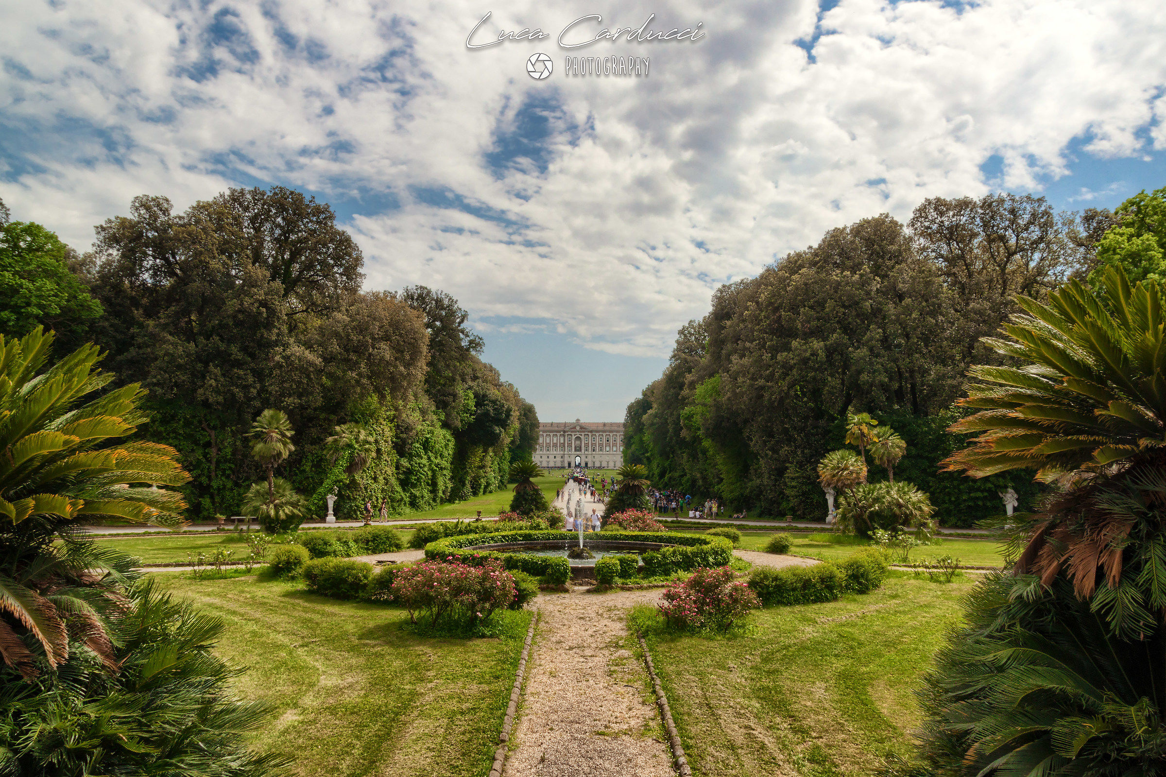 Il viale della reggia