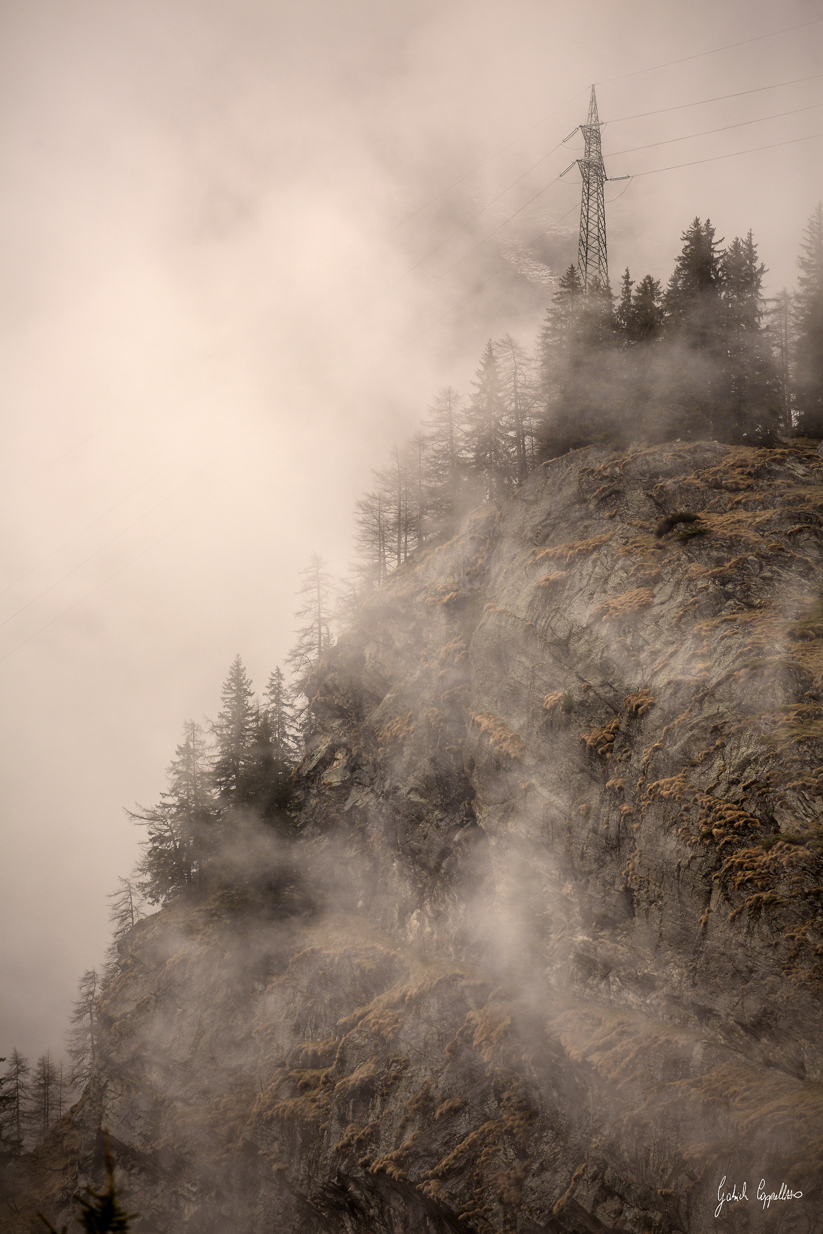 L'arroganza dell'uomo