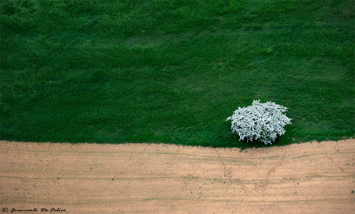Val d'Orcia from above
