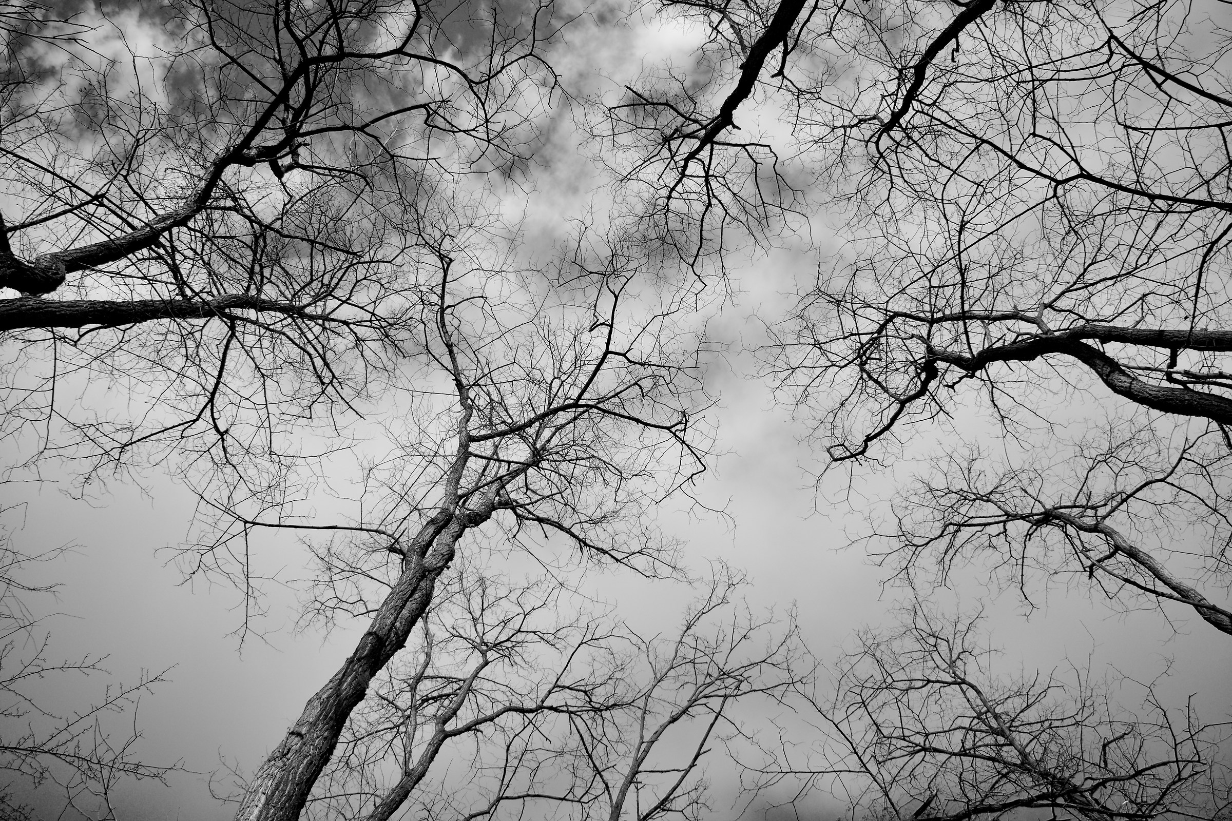 Braccia verso il cielo.