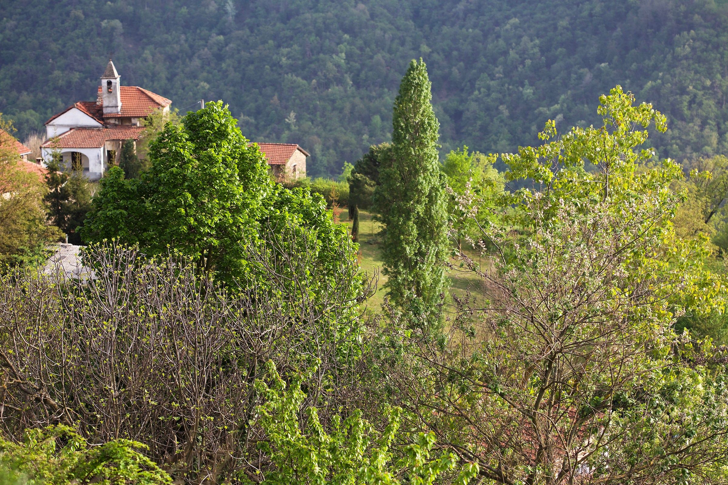 Bruceto (Cortemilia)