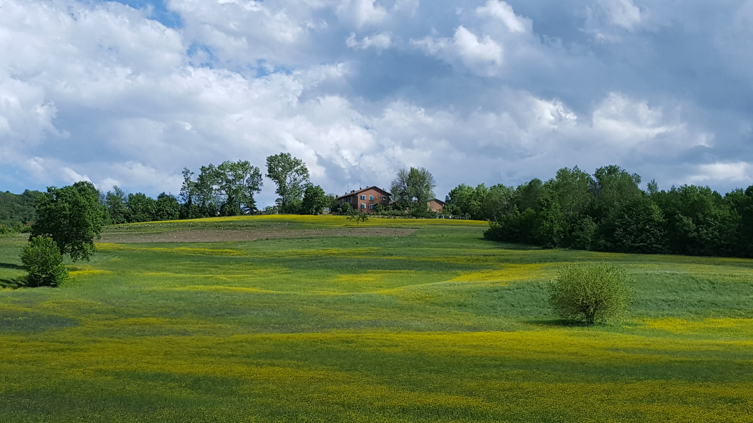 Primavera