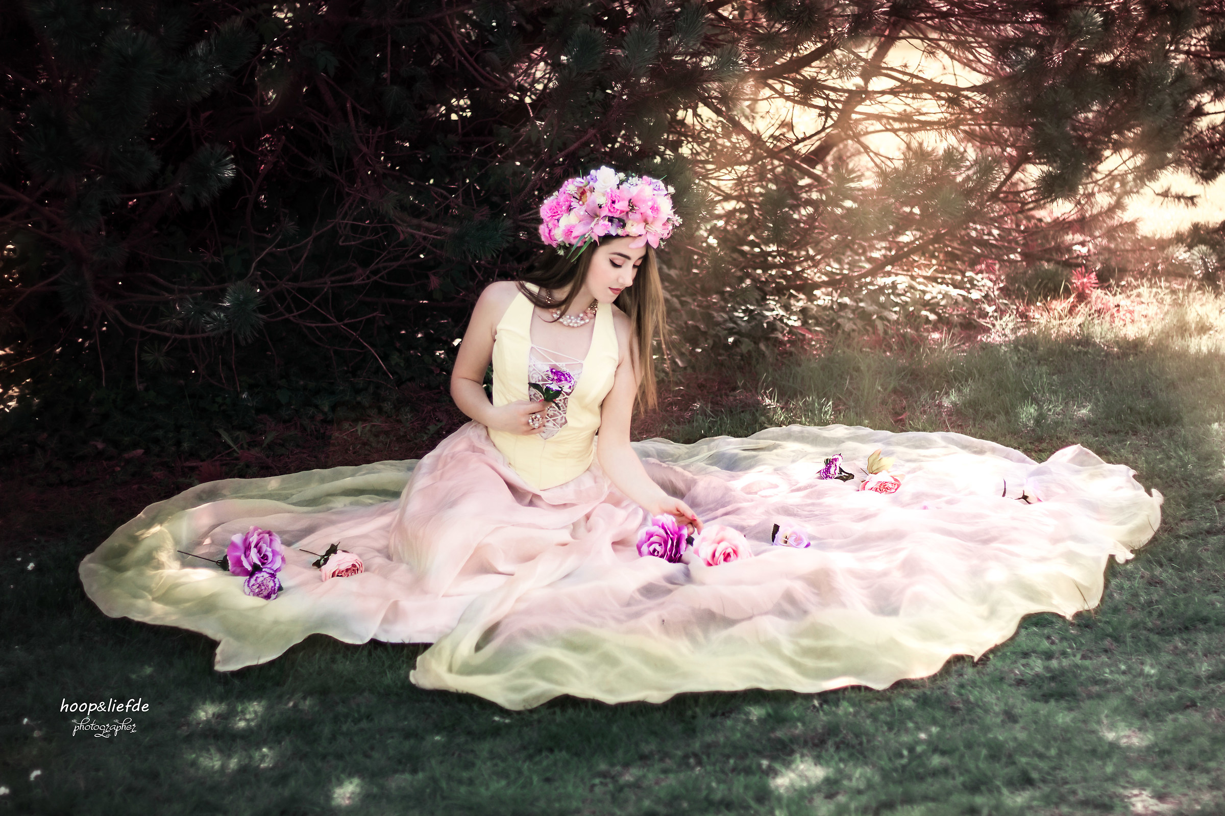 La bella addormentata nel bosco