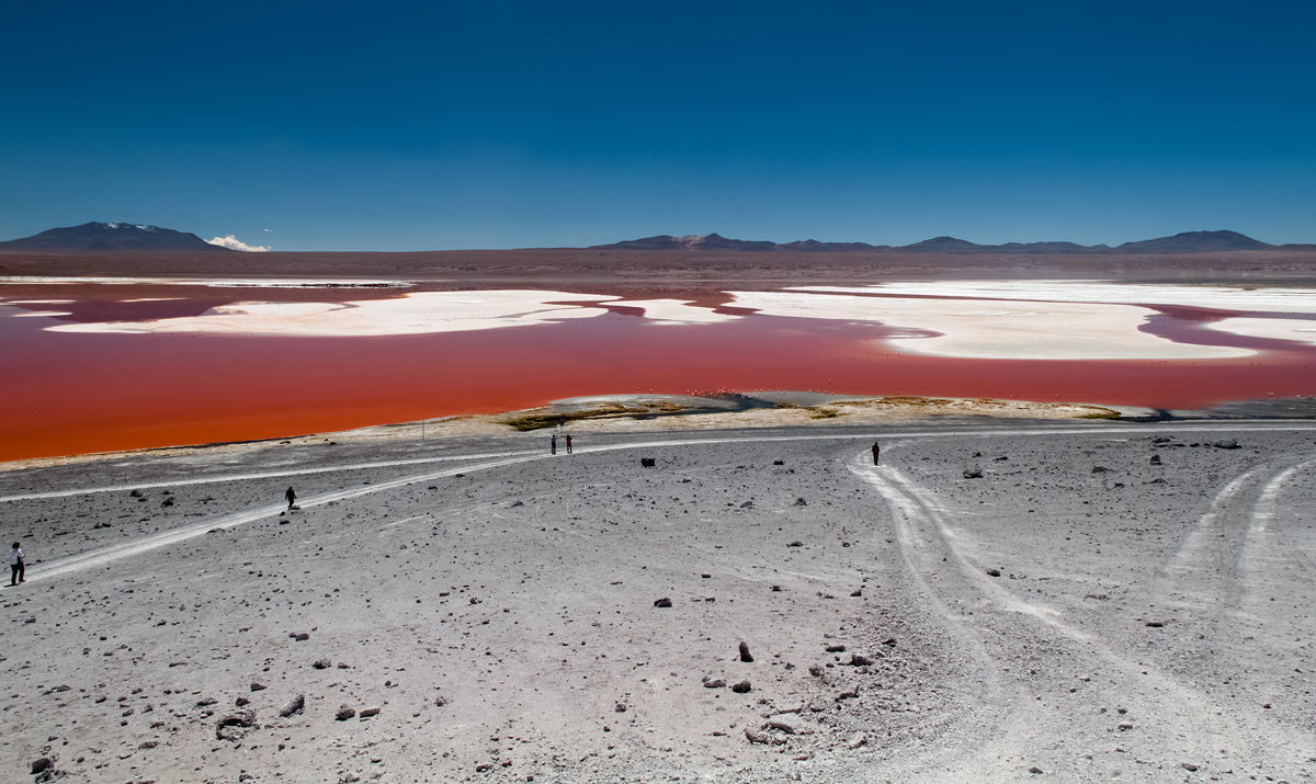 Laguna Colorada