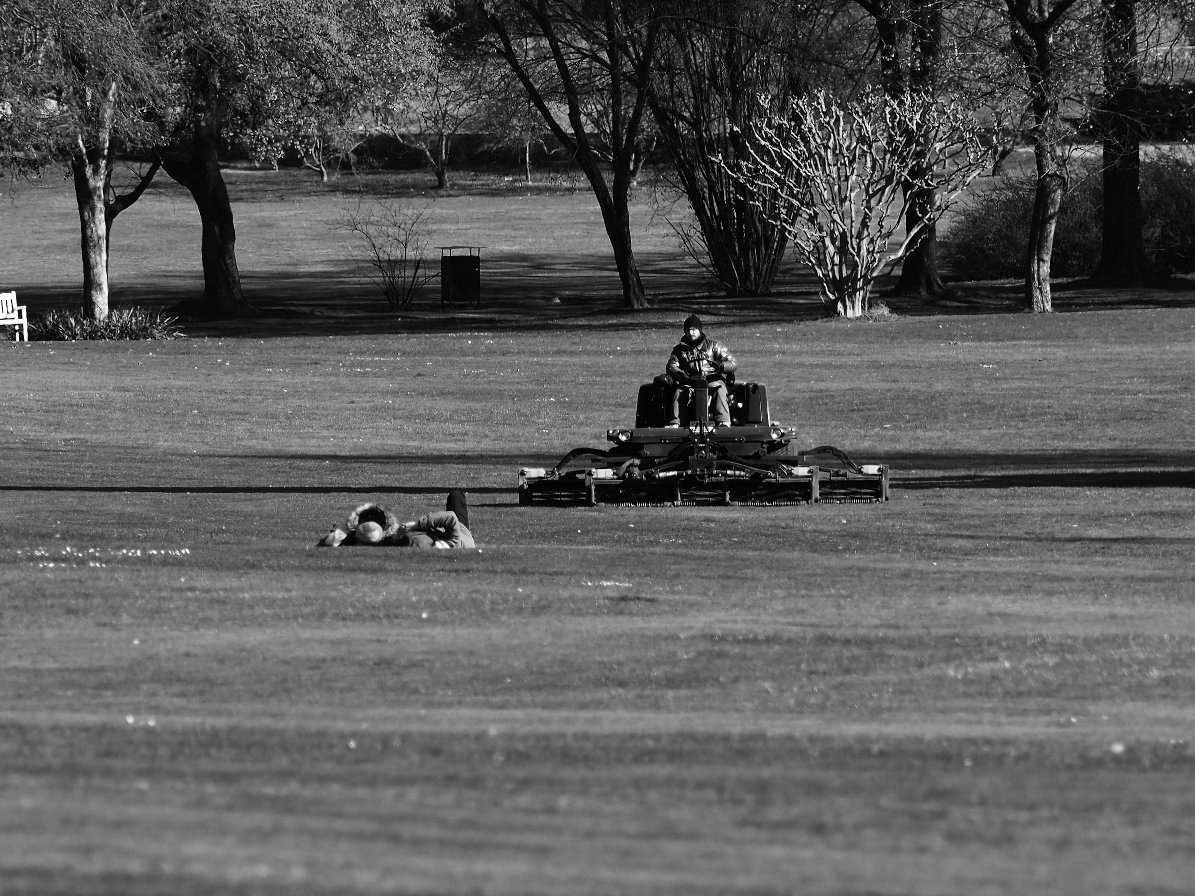 il tagliaerbe trinciatutto