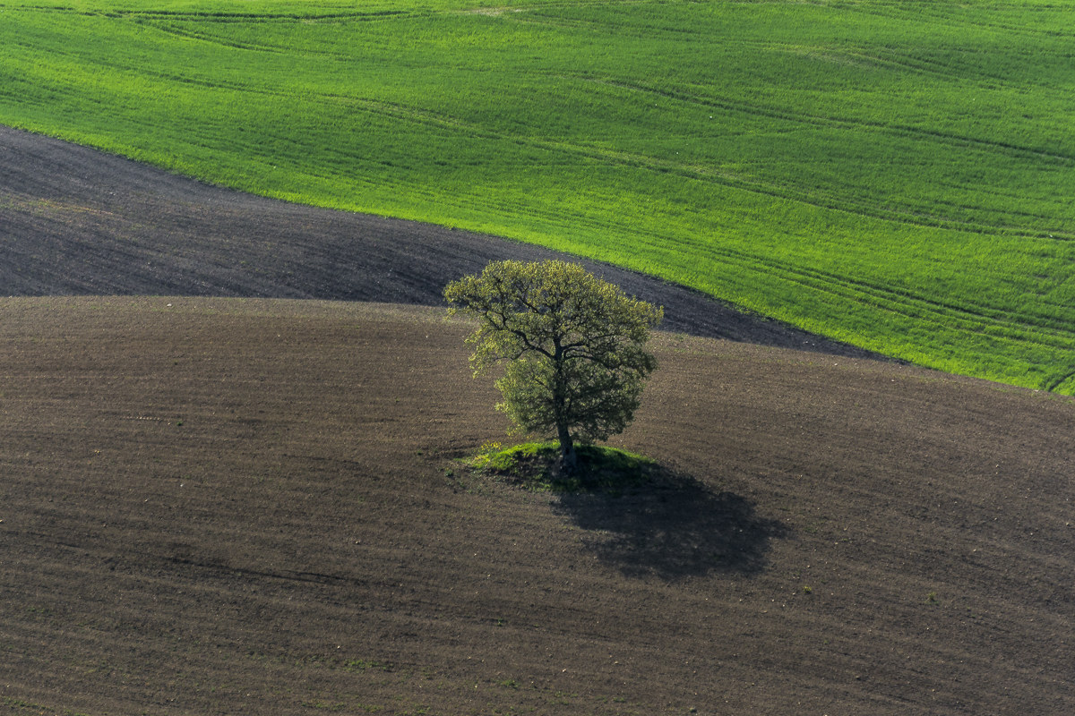 Scorci di Val d'Orcia