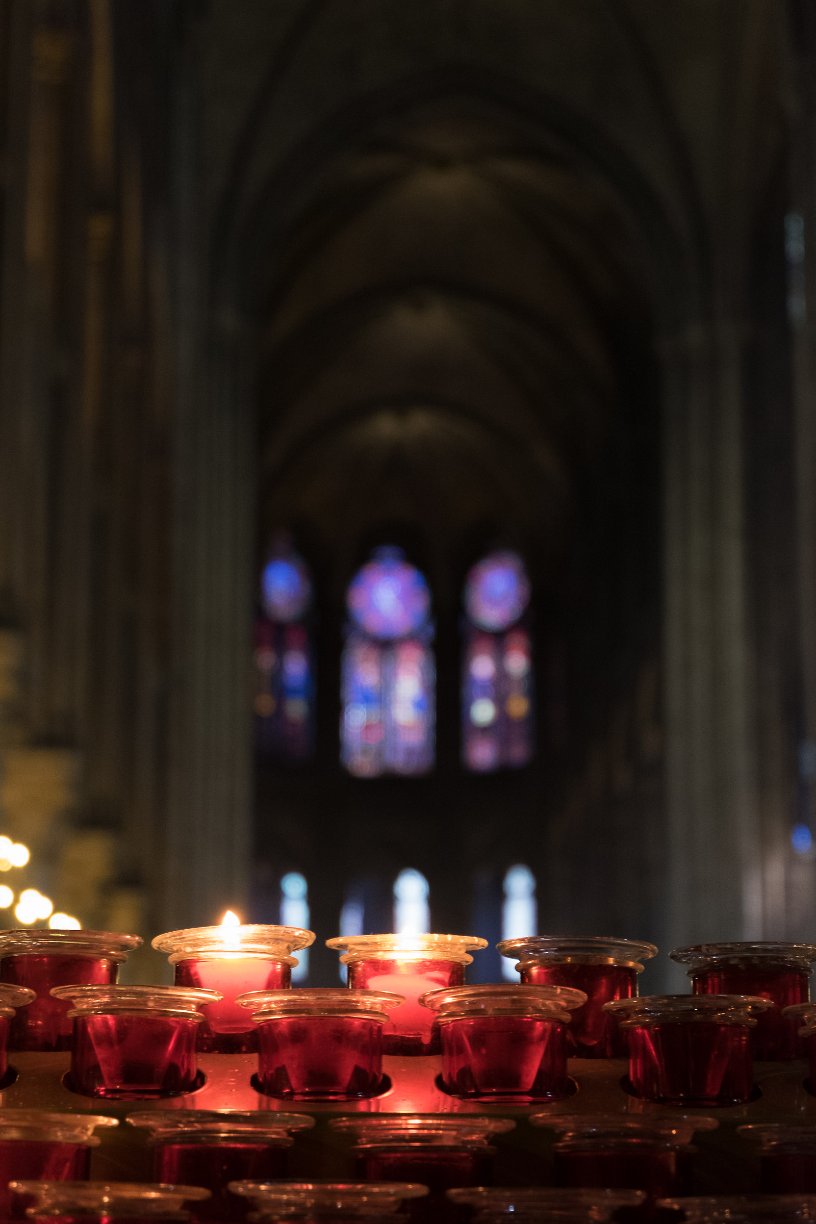 Inside Notre Dame