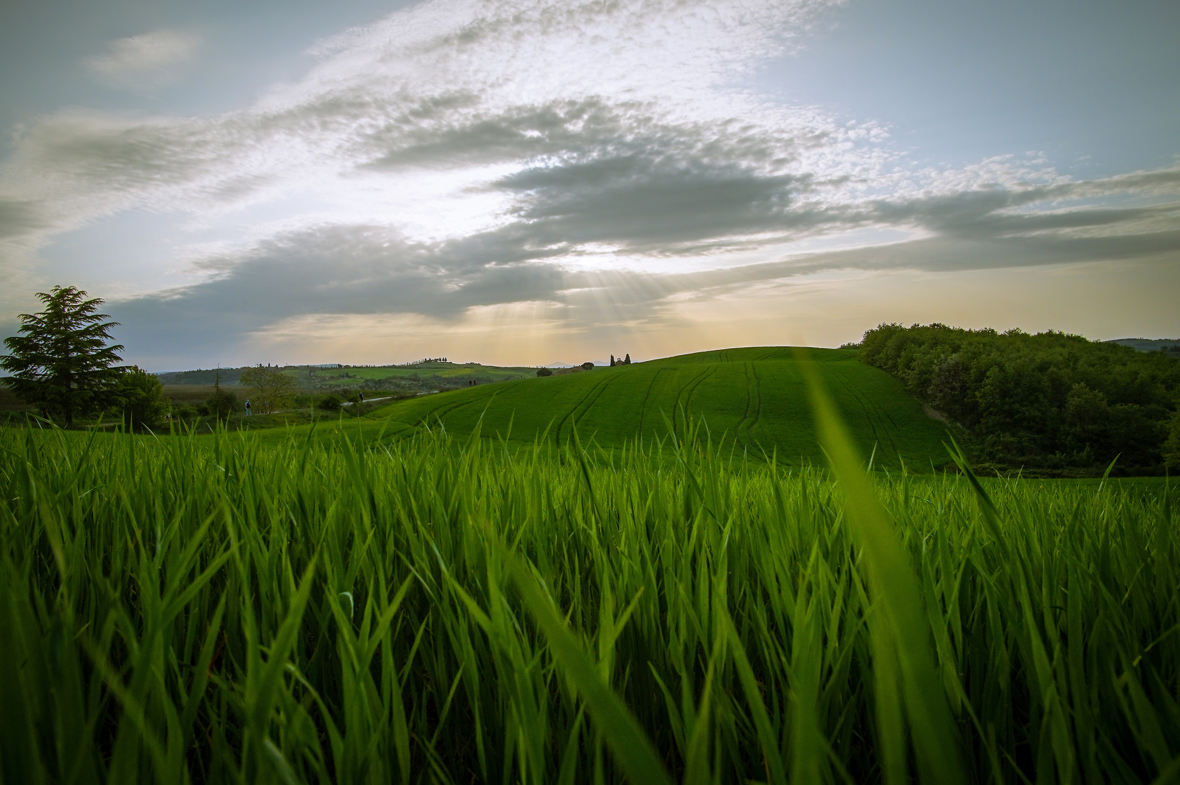 Spring Tuscany
