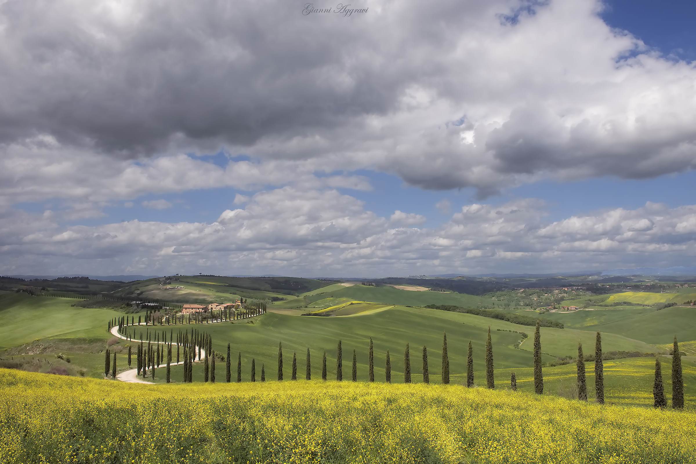 Baccoleno nel suo splendore
