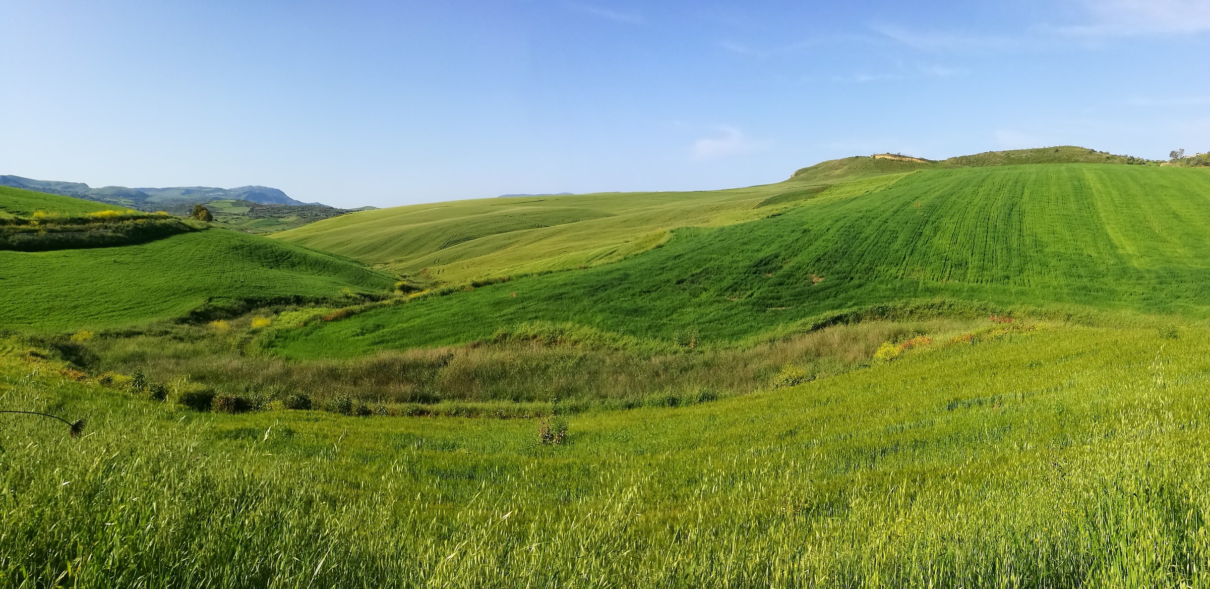 Sfumature di francigena siciliana