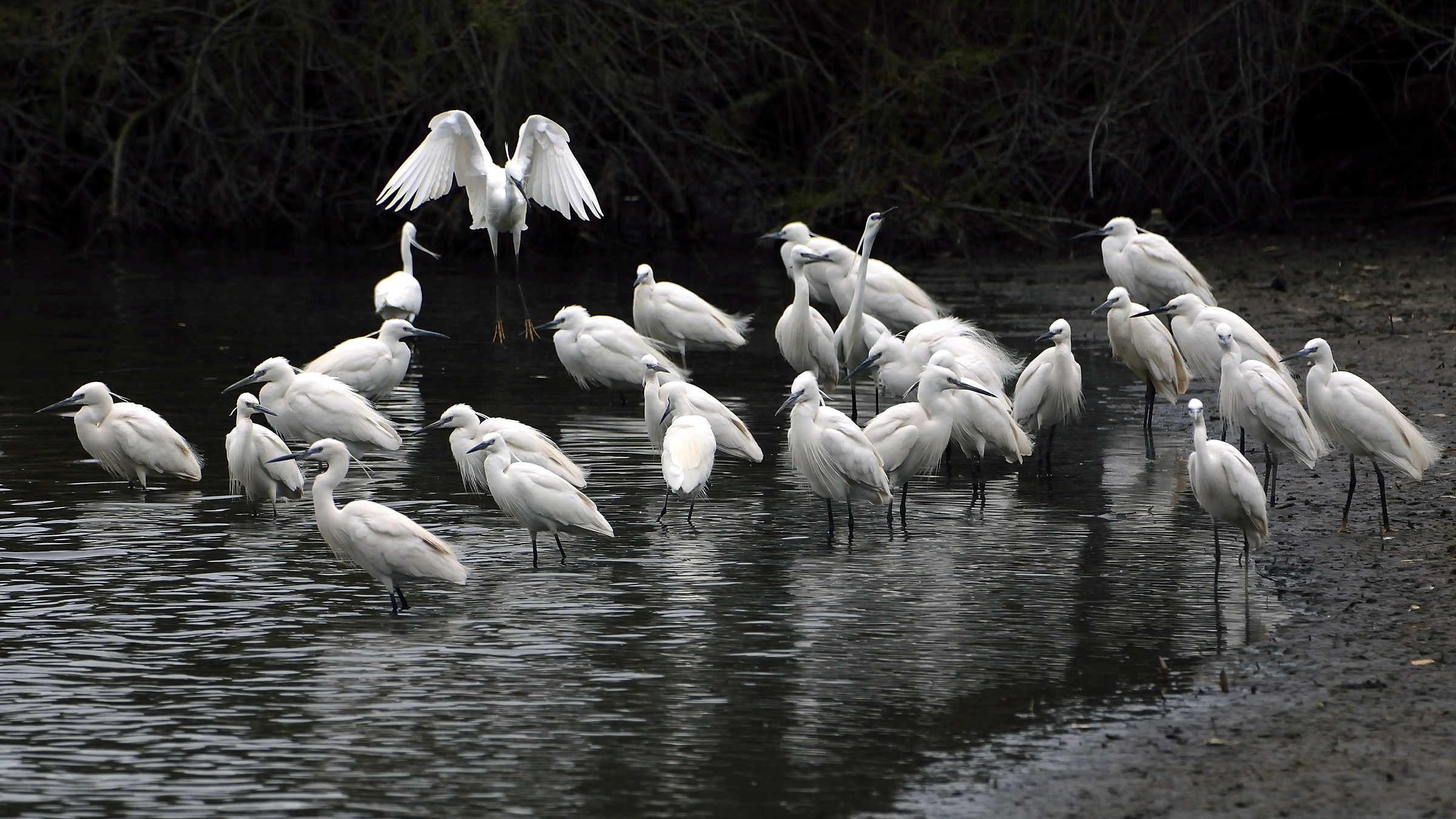 Riunione di Condominio
