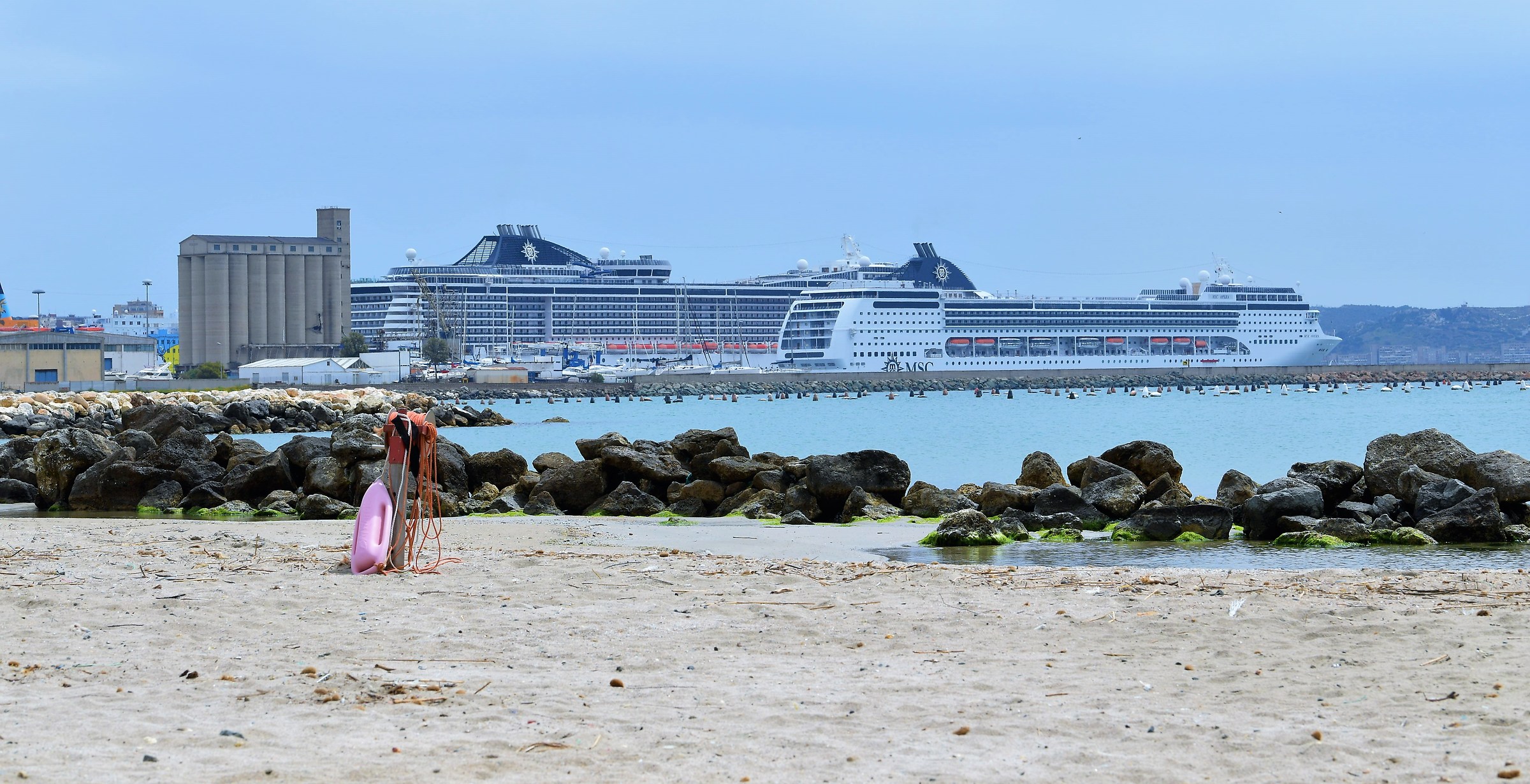 Giants of the sea came in Cagliari