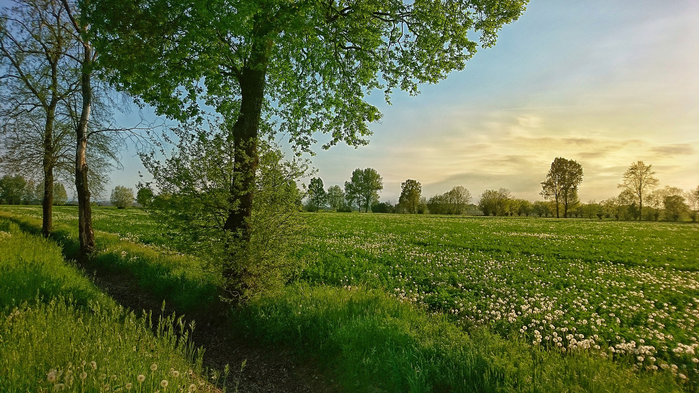 The end of the day in the fields
