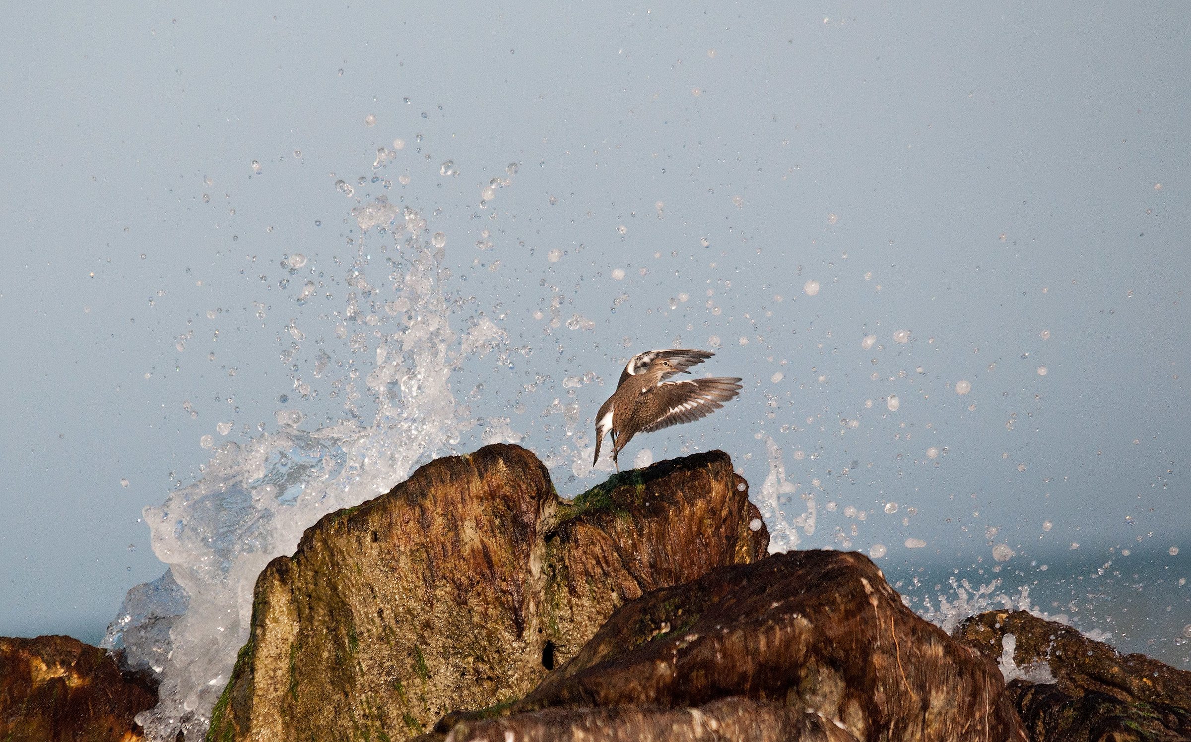 First swim of the season