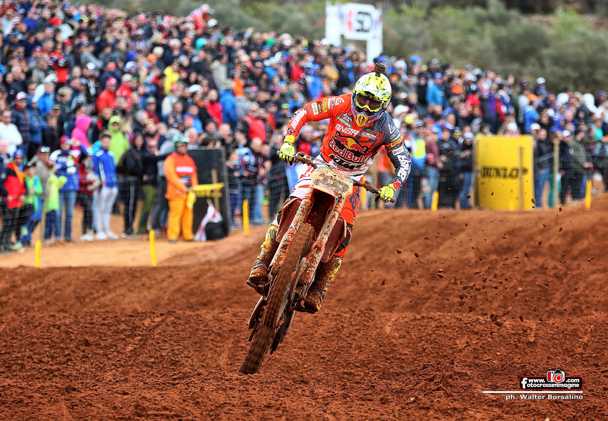 Tony Cairoli