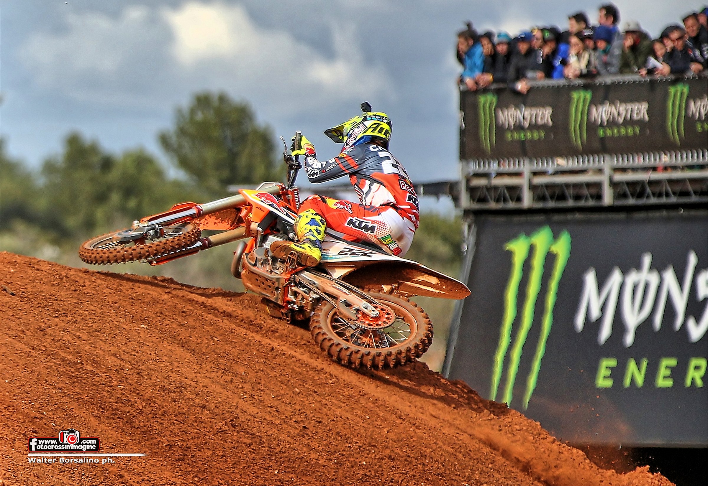 Tony Cairoli