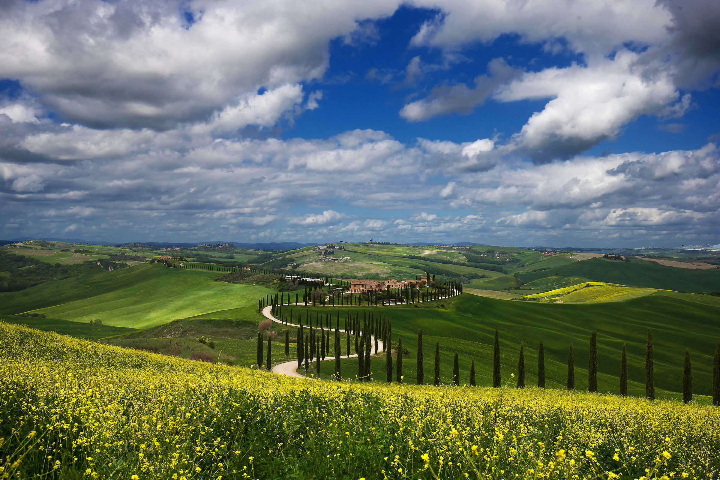 Podere Baccoleno (and Pisanella)