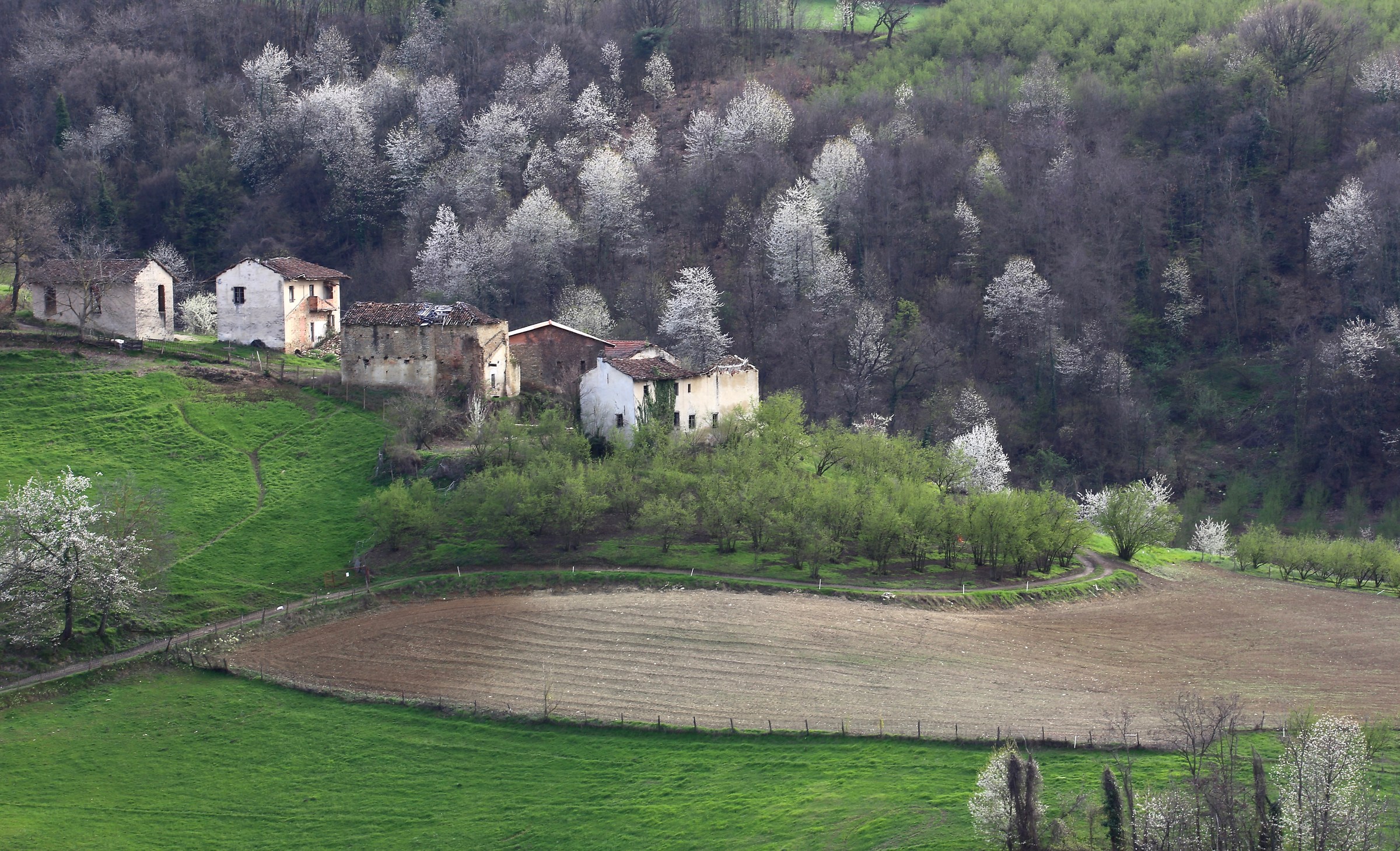 Montrucchi di Benevello