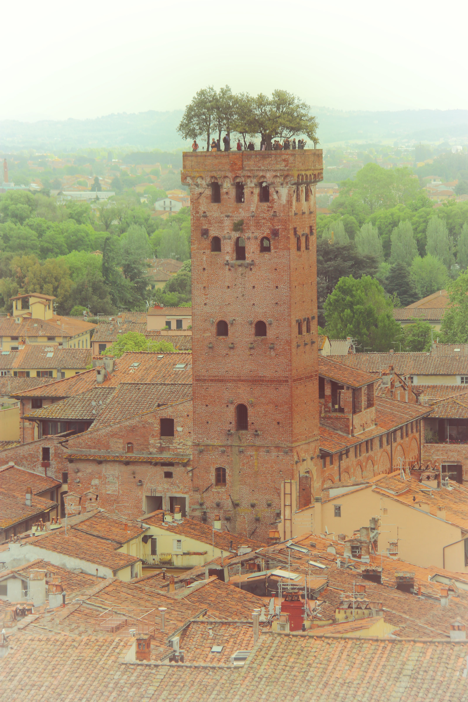 Lucca torre Guinigi