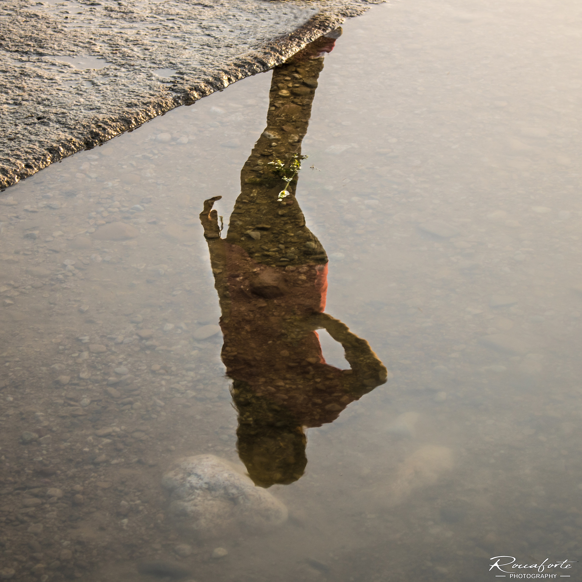 Riflessioni