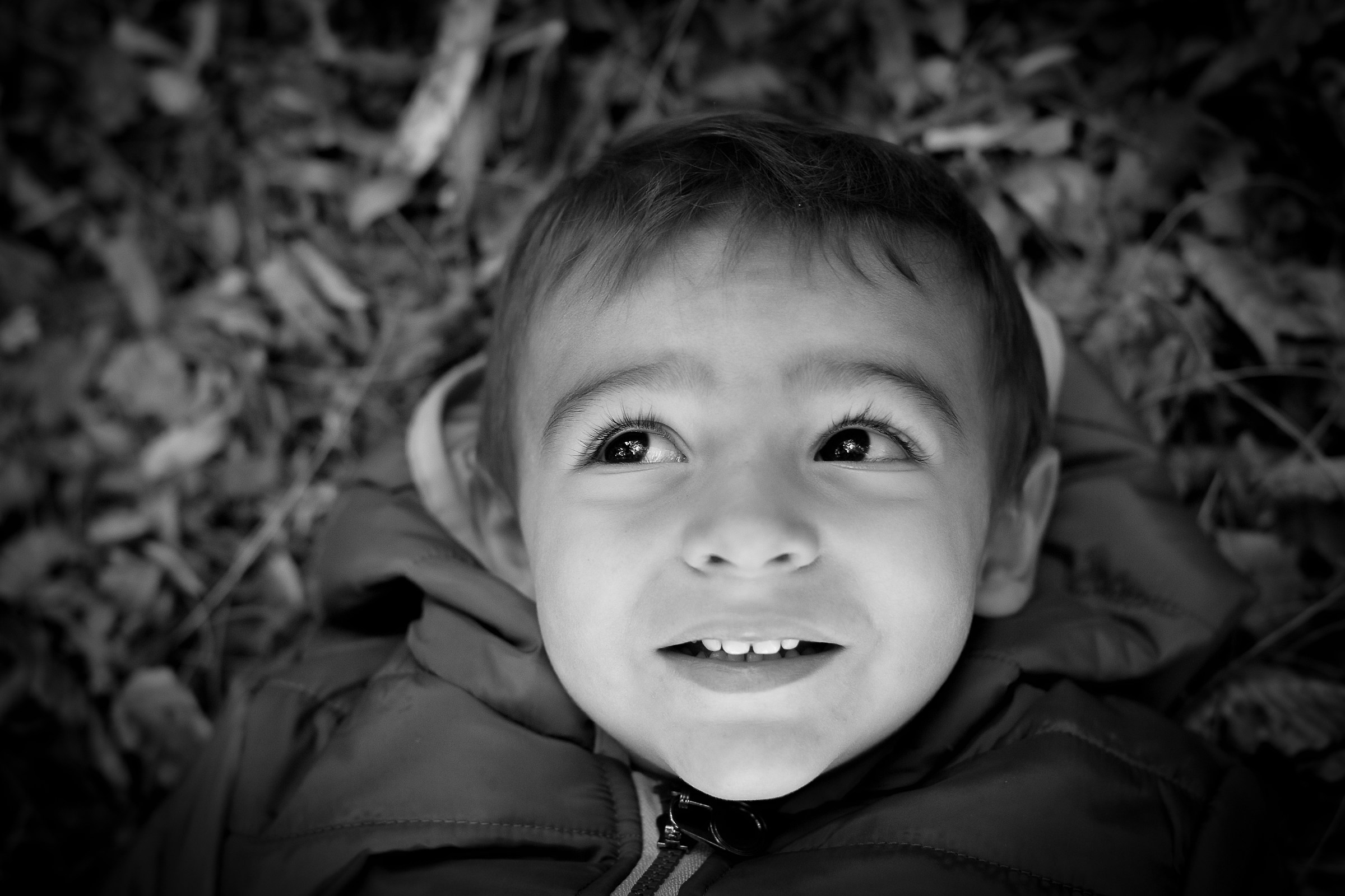 tutto...il resto non conta !