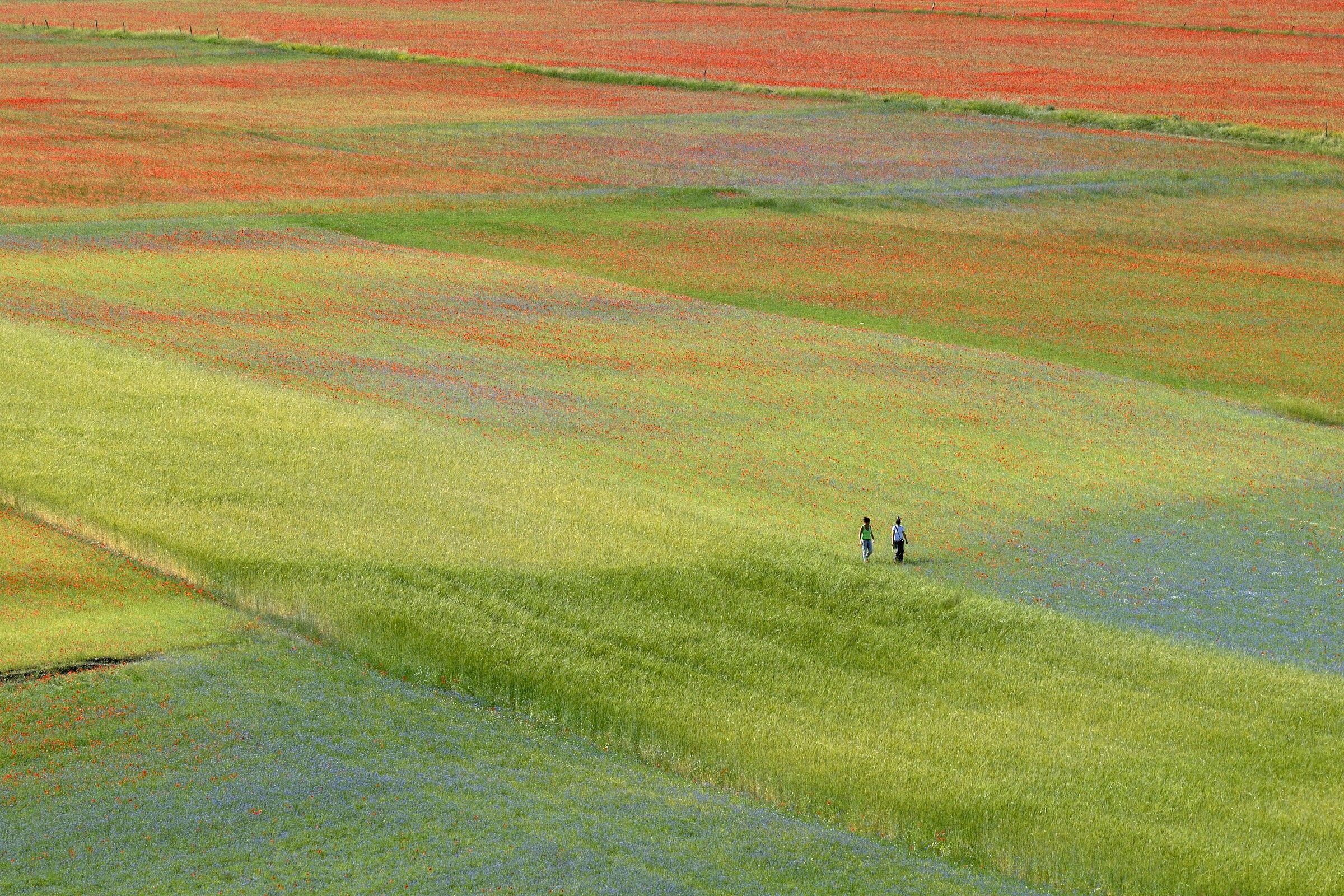 Passeggiare nel colore