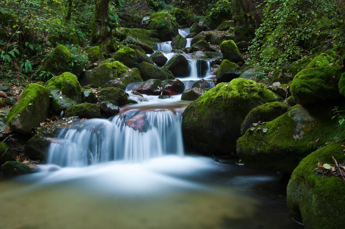 Stream Trallo - Brusinpiano (Varese)