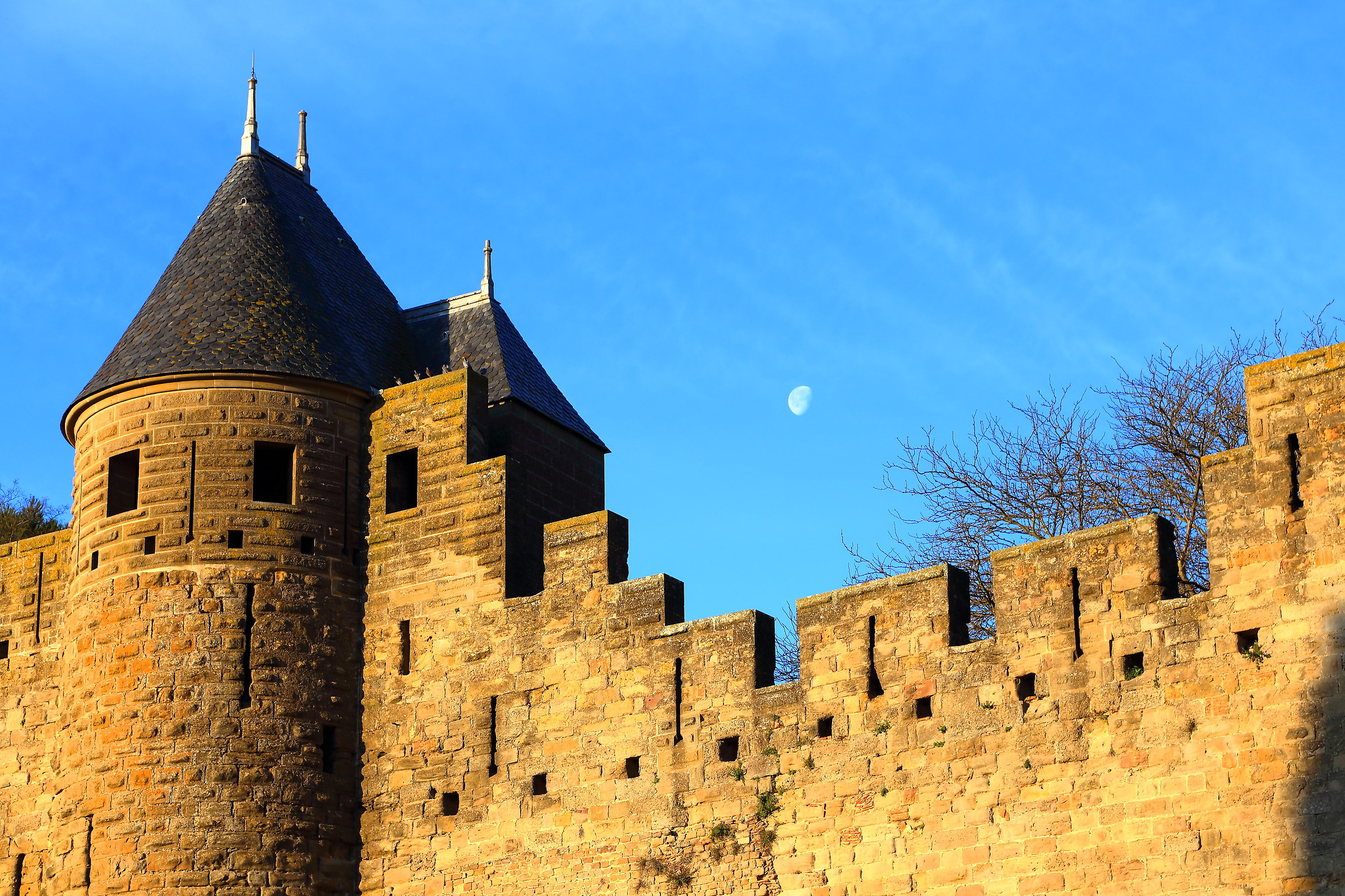 Scende la luna e si colorano le mura