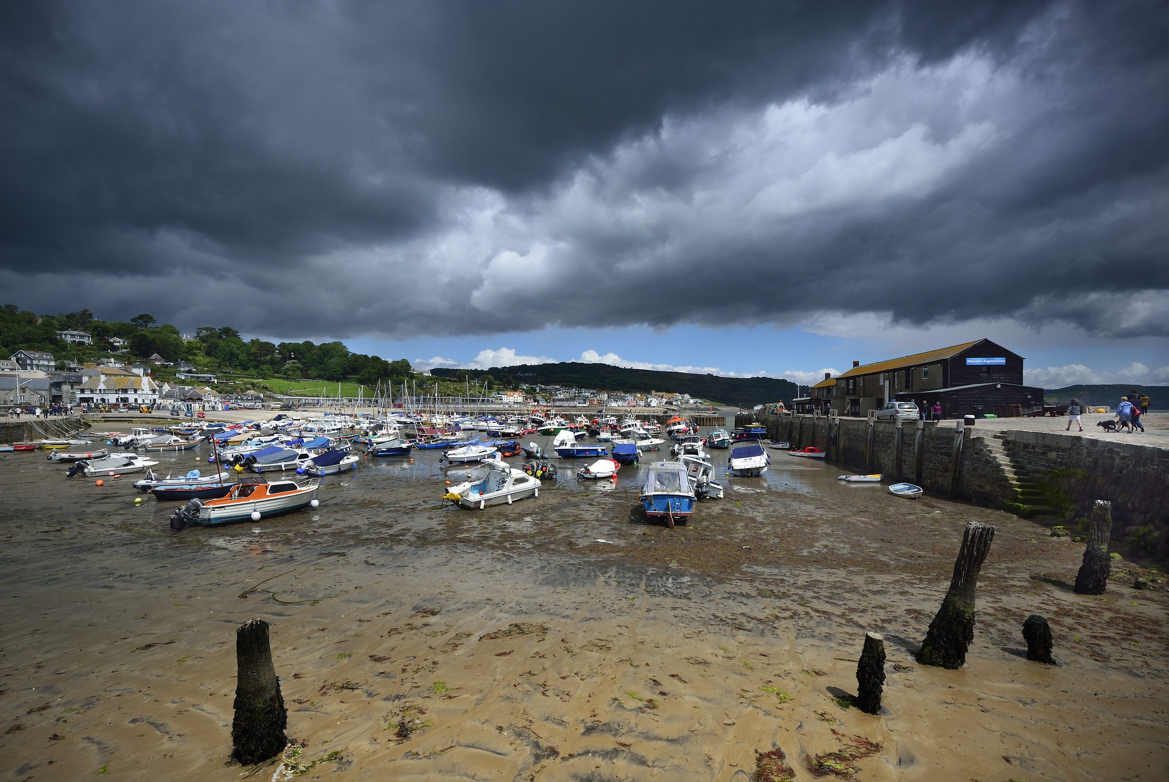 "Abbastanza pioggia lassù a galla tutte quelle b...