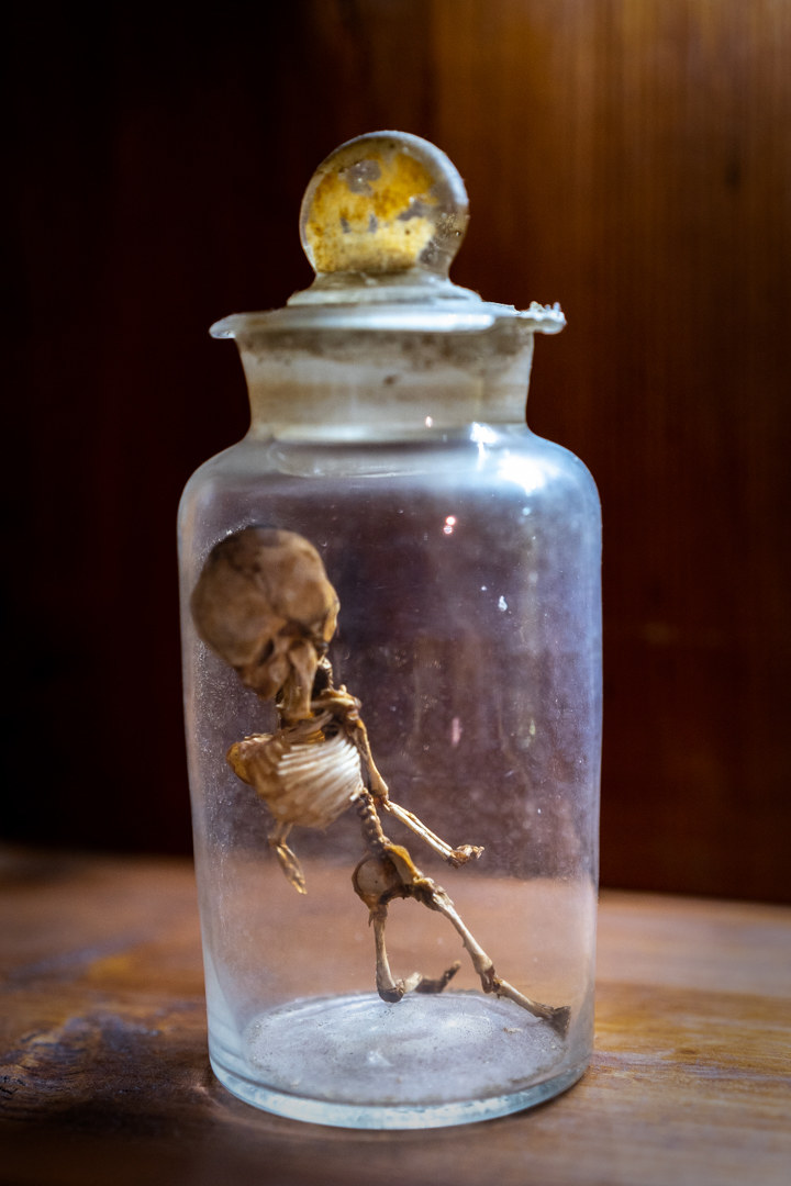 gallipoli 30 anni dopo......