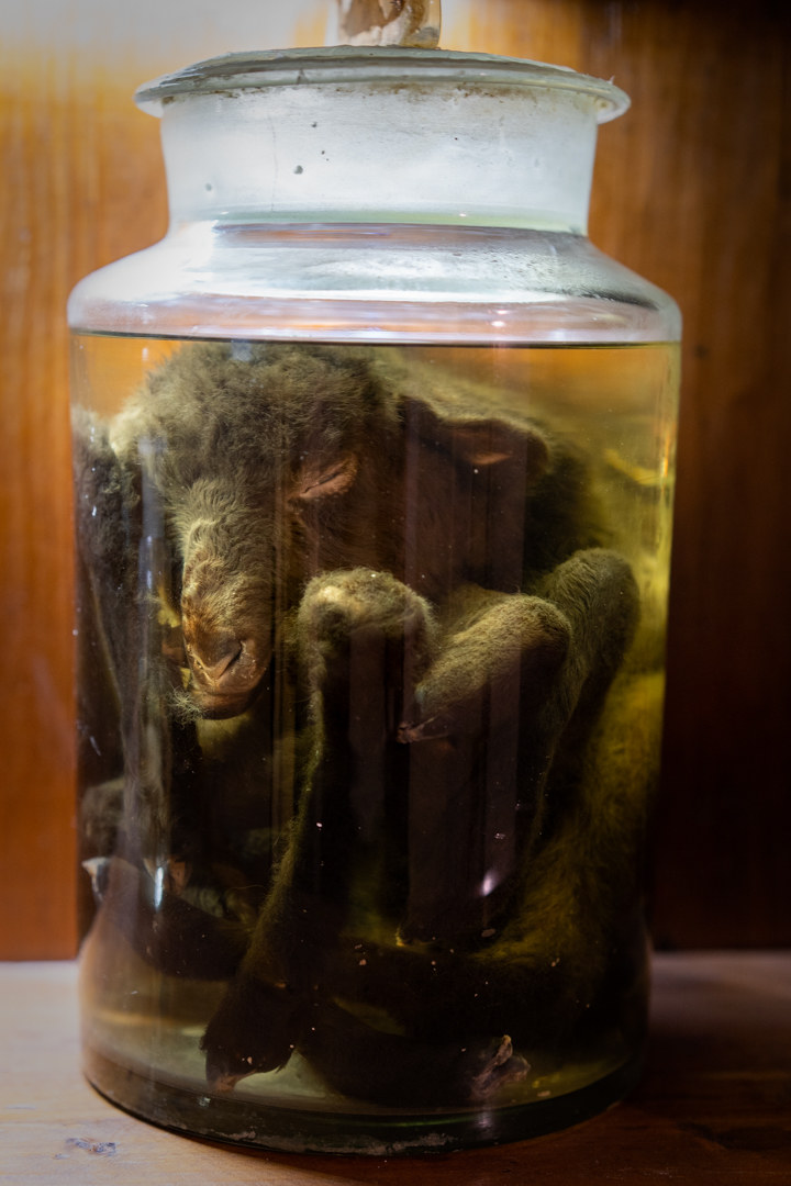 gallipoli 30 anni dopo......